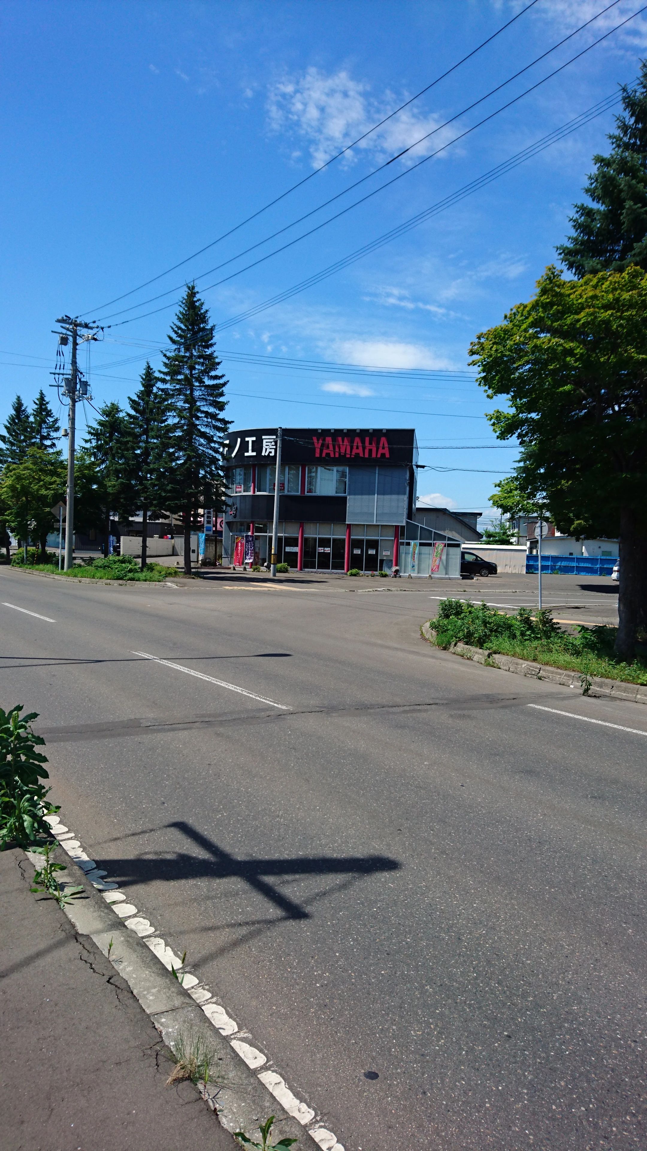 旭楽器 和楽器 西教室のサムネイル画像 4