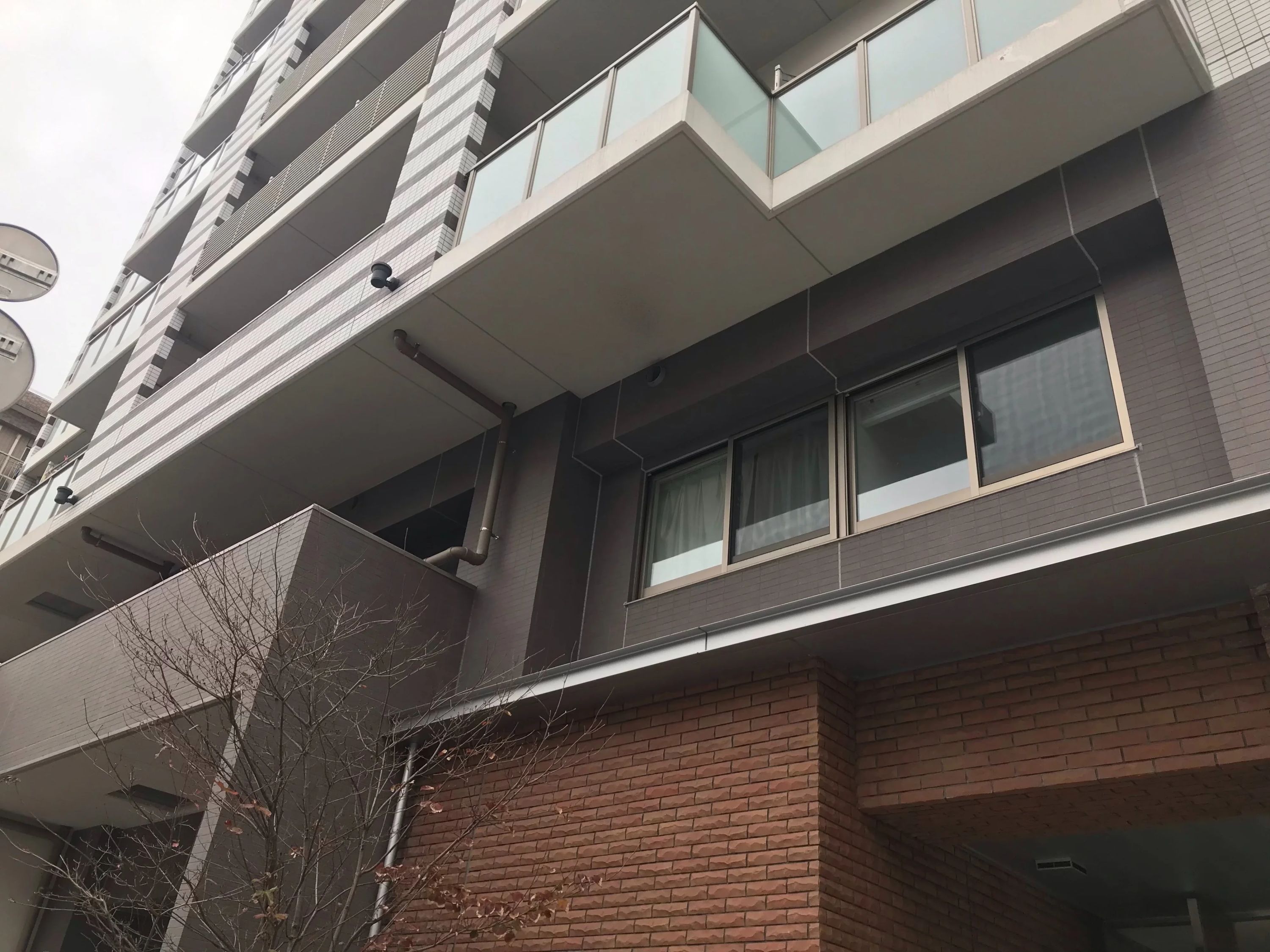 TONE伊勢佐木ぴあの教室 和楽器 関内教室のサムネイル画像 3