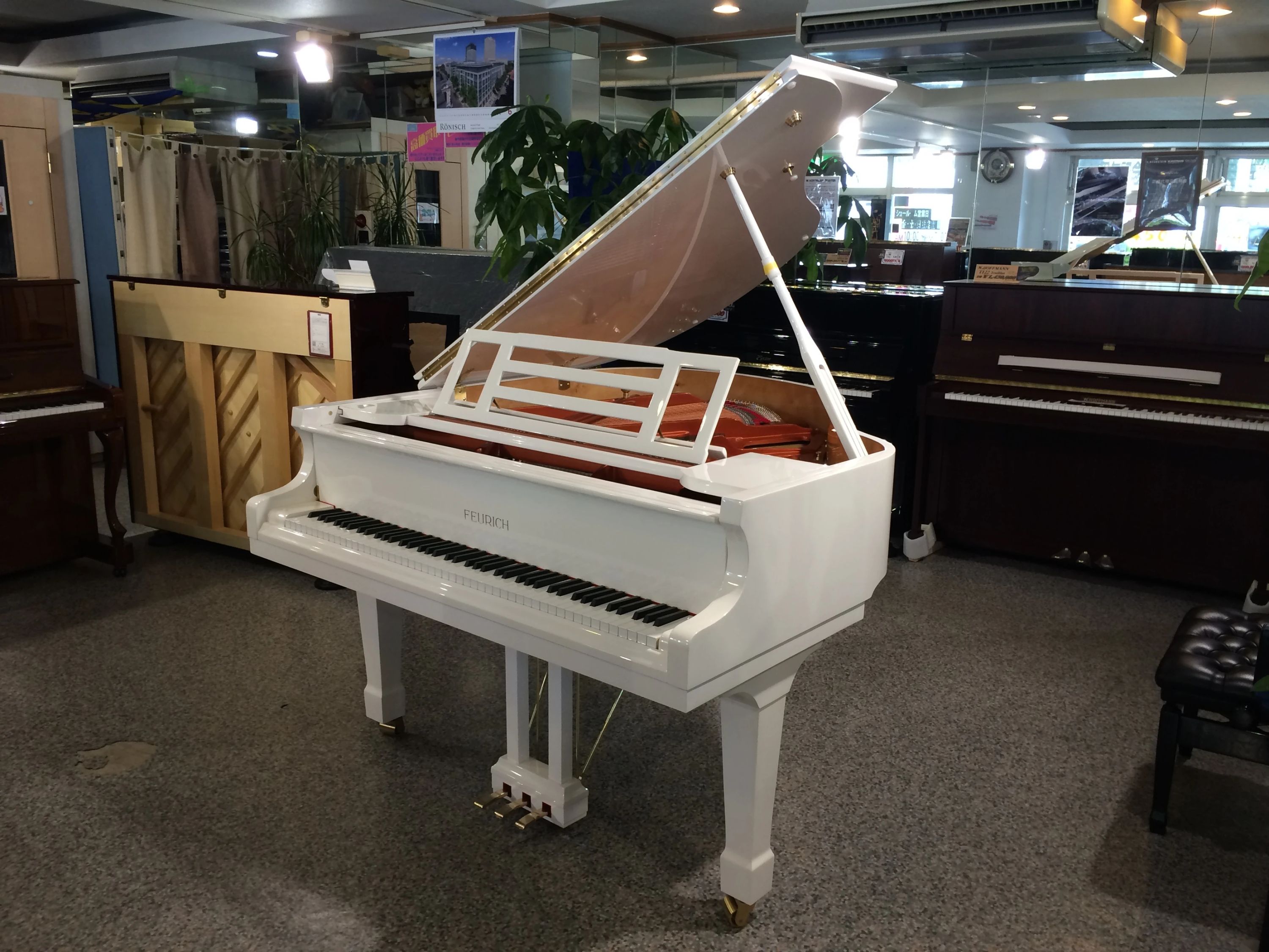 ピアノギャラリー音楽教室 和楽器 新子安教室のサムネイル画像 5