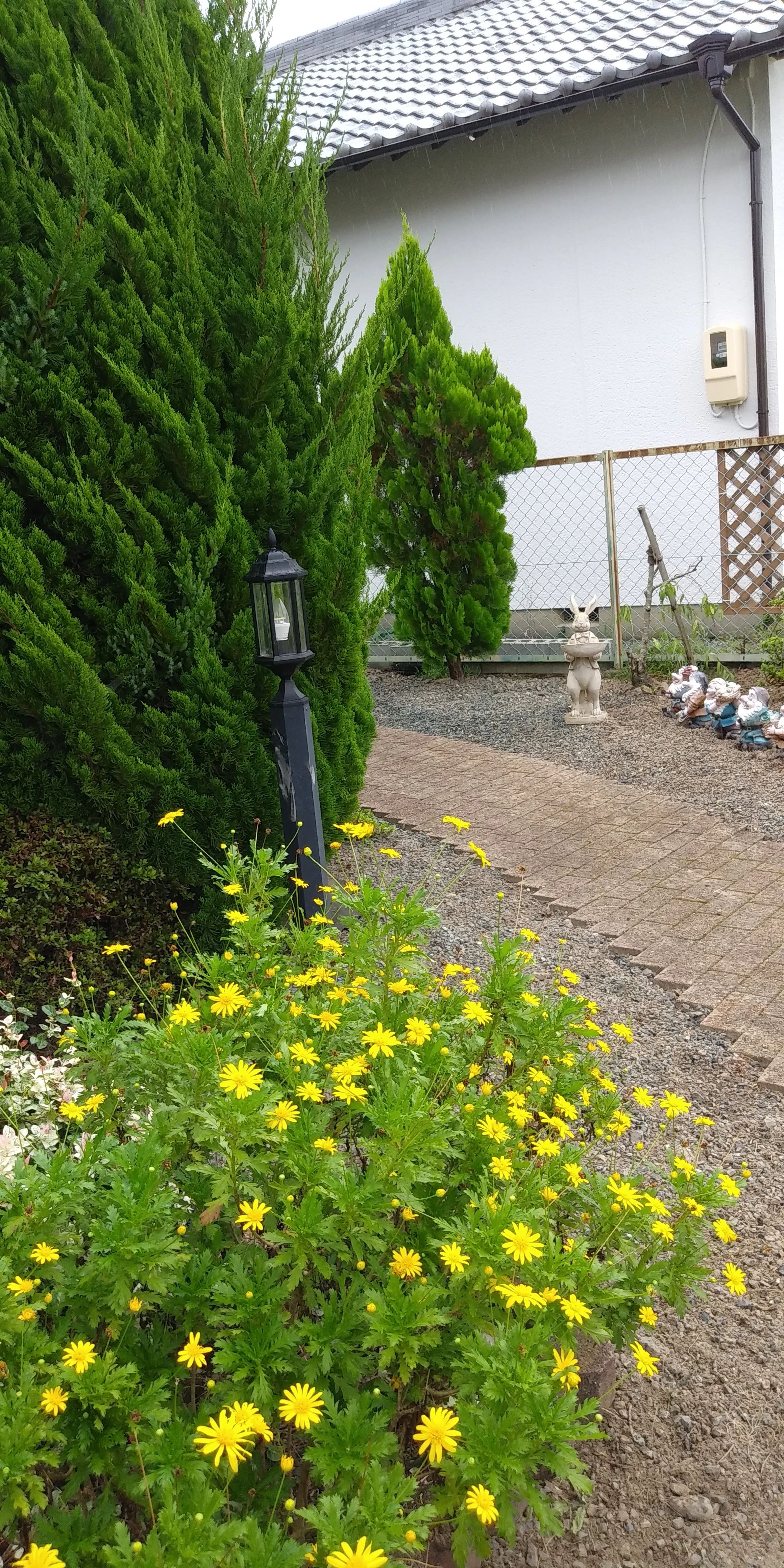 シュテファノ音楽院 森町教室のサムネイル画像 4