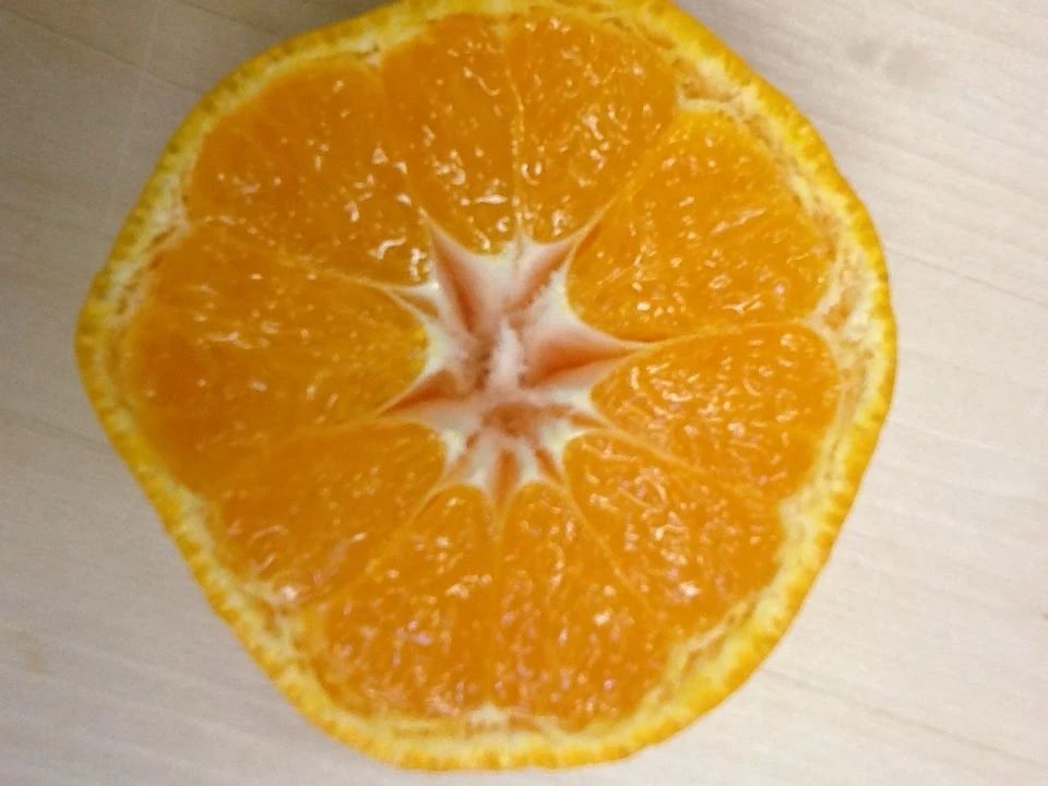 ぷれっぷ 幼児教室 若葉台(稲城市)教室のサムネイル画像 2