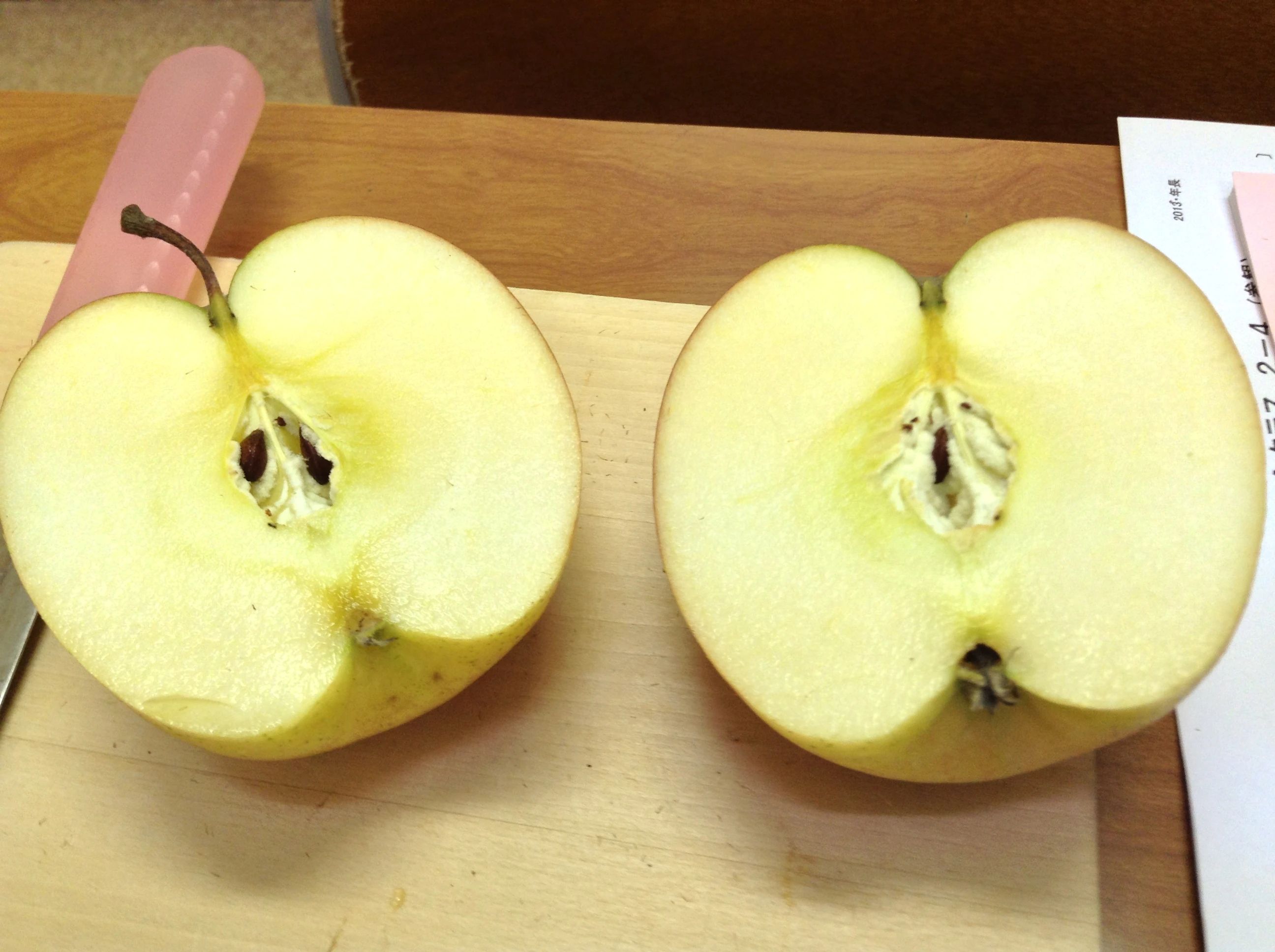 ぷれっぷ 幼児教室 若葉台(稲城市)教室のサムネイル画像 3