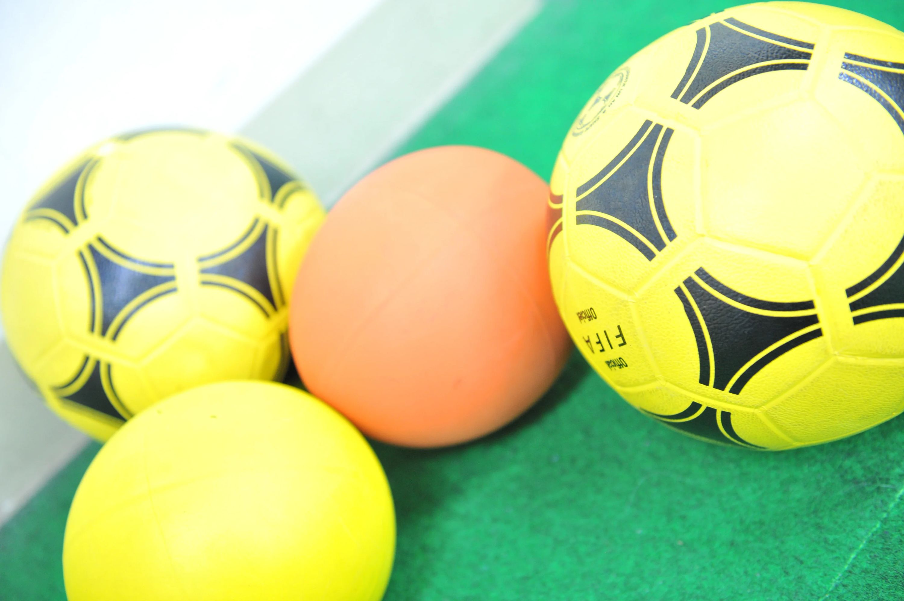 イルカ会東京知育研究所 幼児教室 本郷教室（本部）のサムネイル画像 3