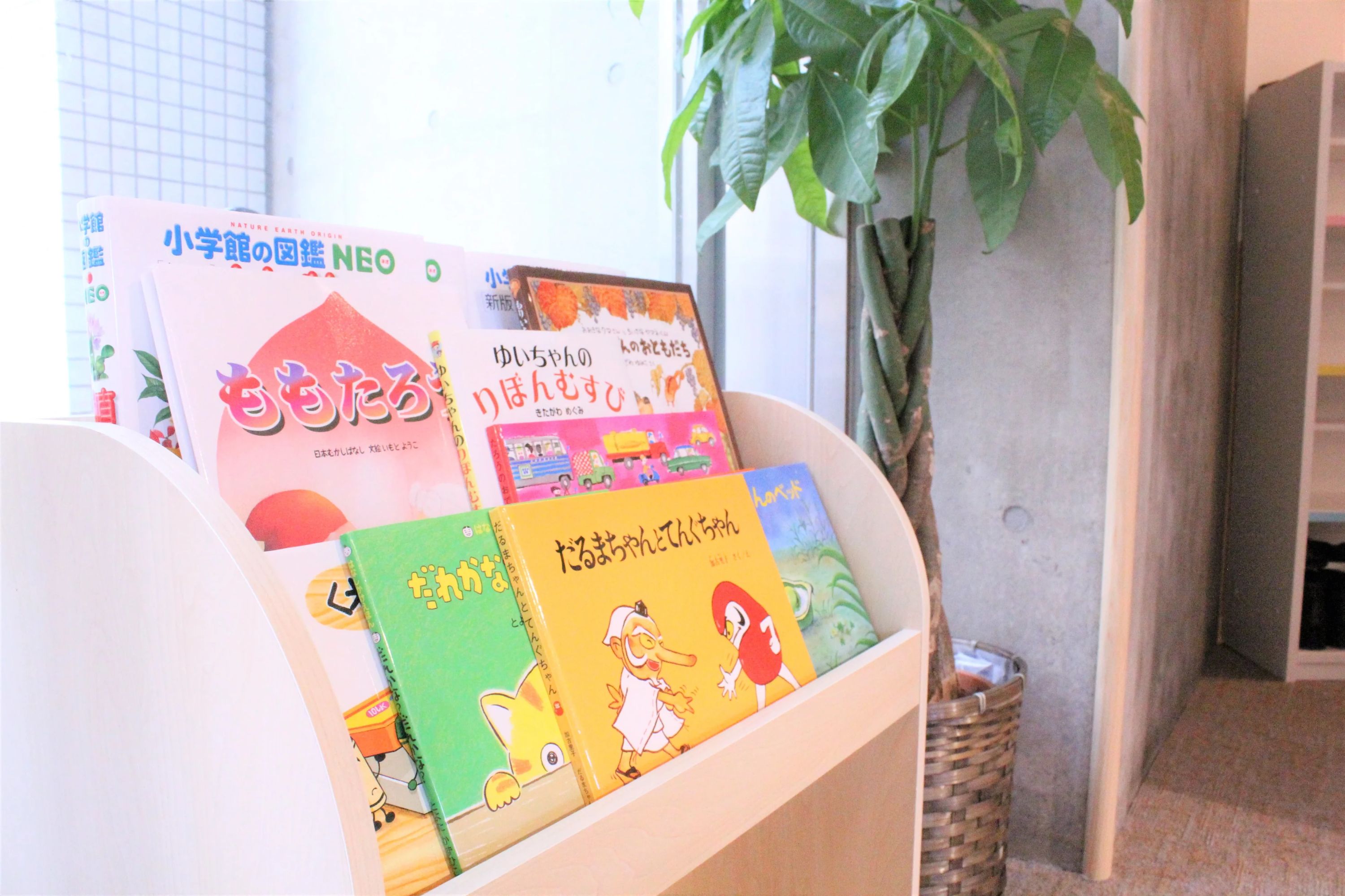 理英会 恵比寿校のサムネイル画像 3