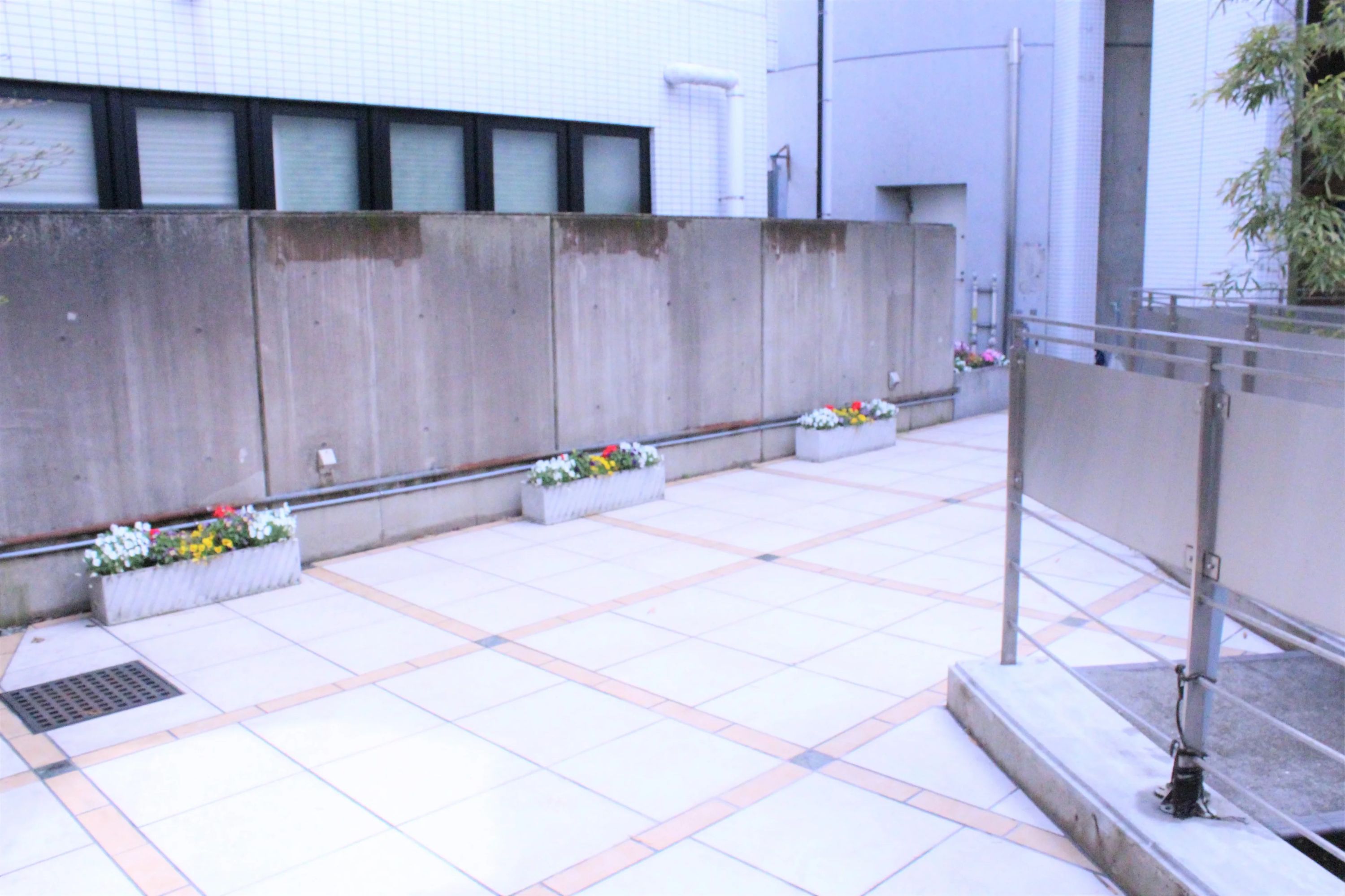 理英会 恵比寿校のサムネイル画像 4