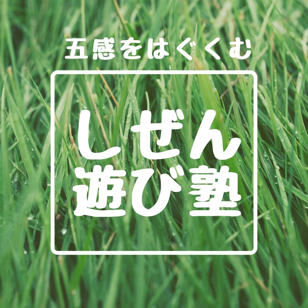 こども教室どんぐりひろば 幼児教室 阿久和東教室のサムネイル画像 4