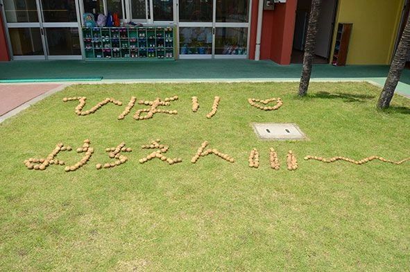 プリズム 幼児教室 淵野辺ひばり幼稚園のメイン画像