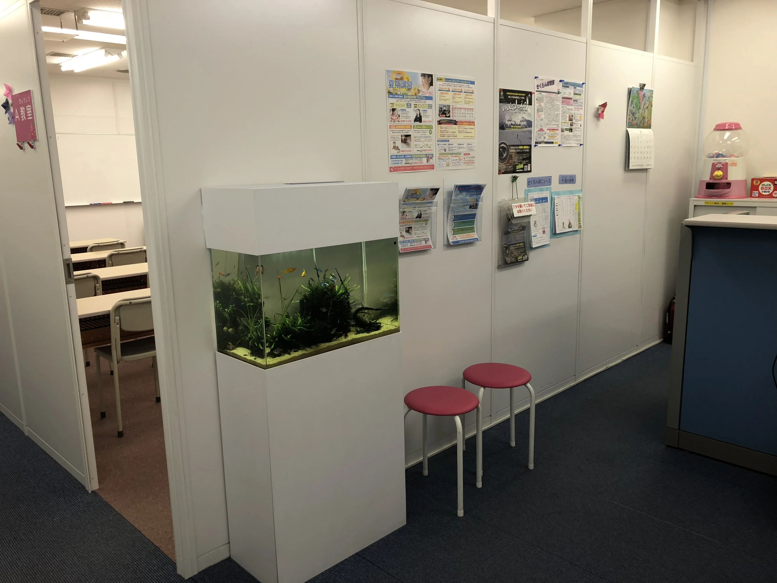 さくらんぼ教室 幼児教室 本八幡本部教室のサムネイル画像 3