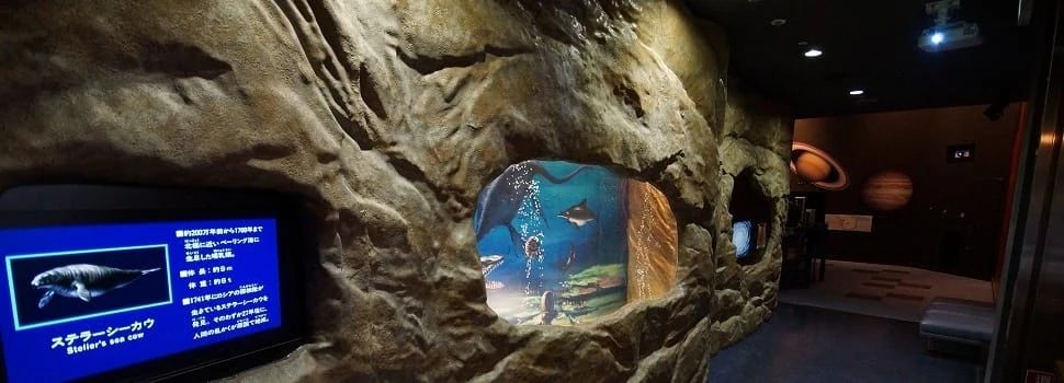 ドリーム21 幼児教室 松原南教室のサムネイル画像 2