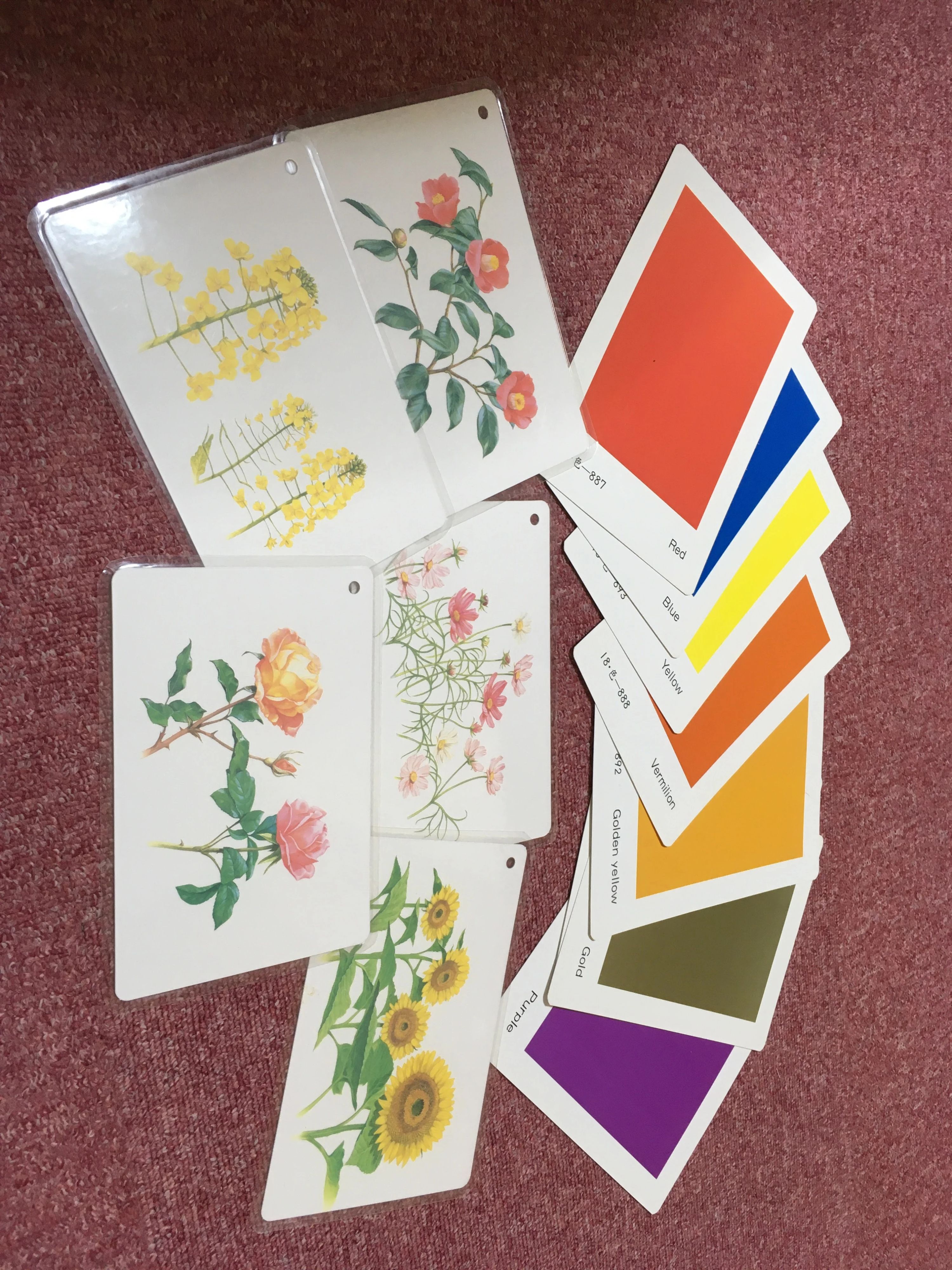 香里アテーナー幼児教室・昌栄館 枚方校のメイン画像