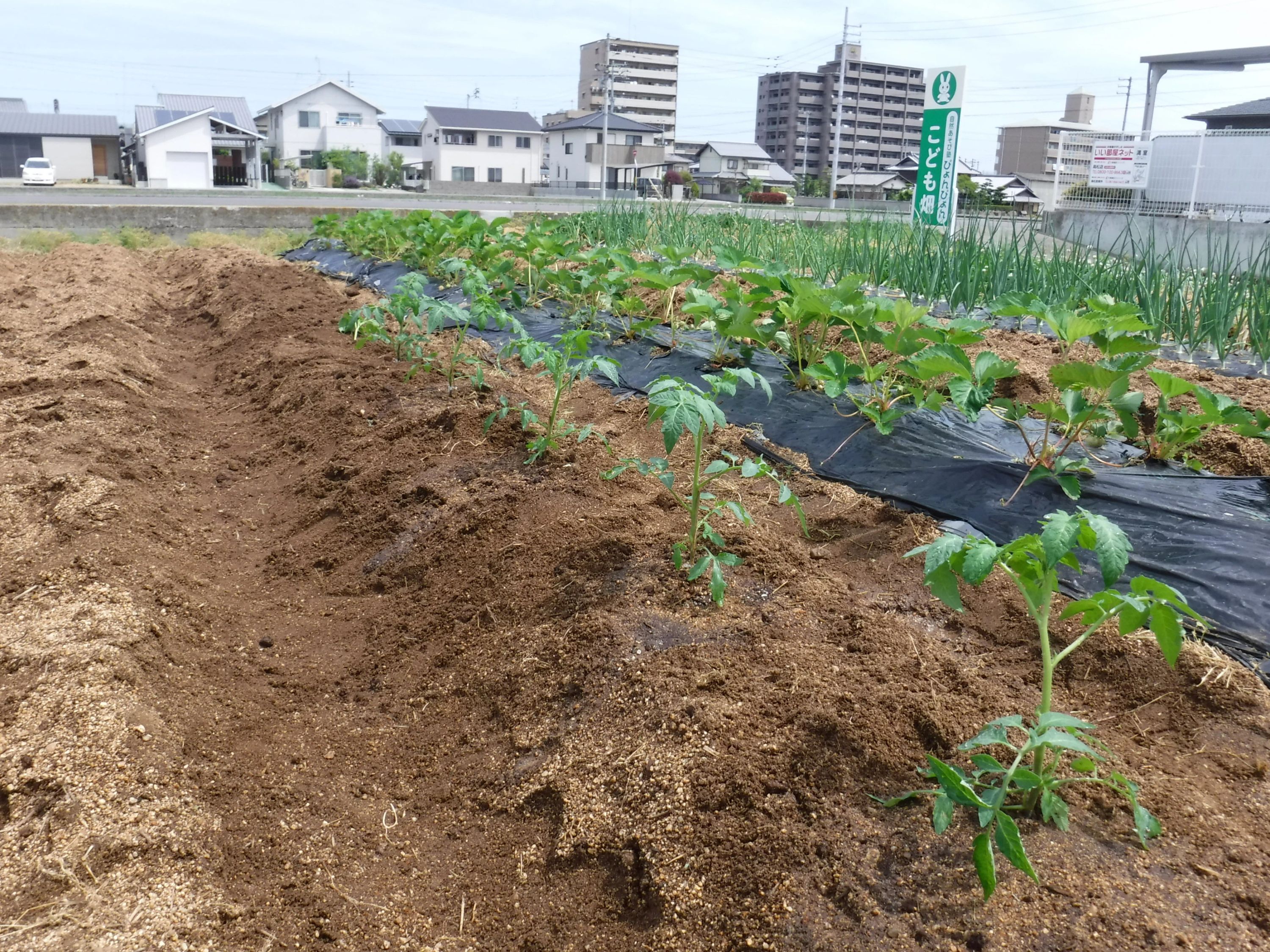 ぴょんぴょん 幼児教室 太田下町教室のメイン画像