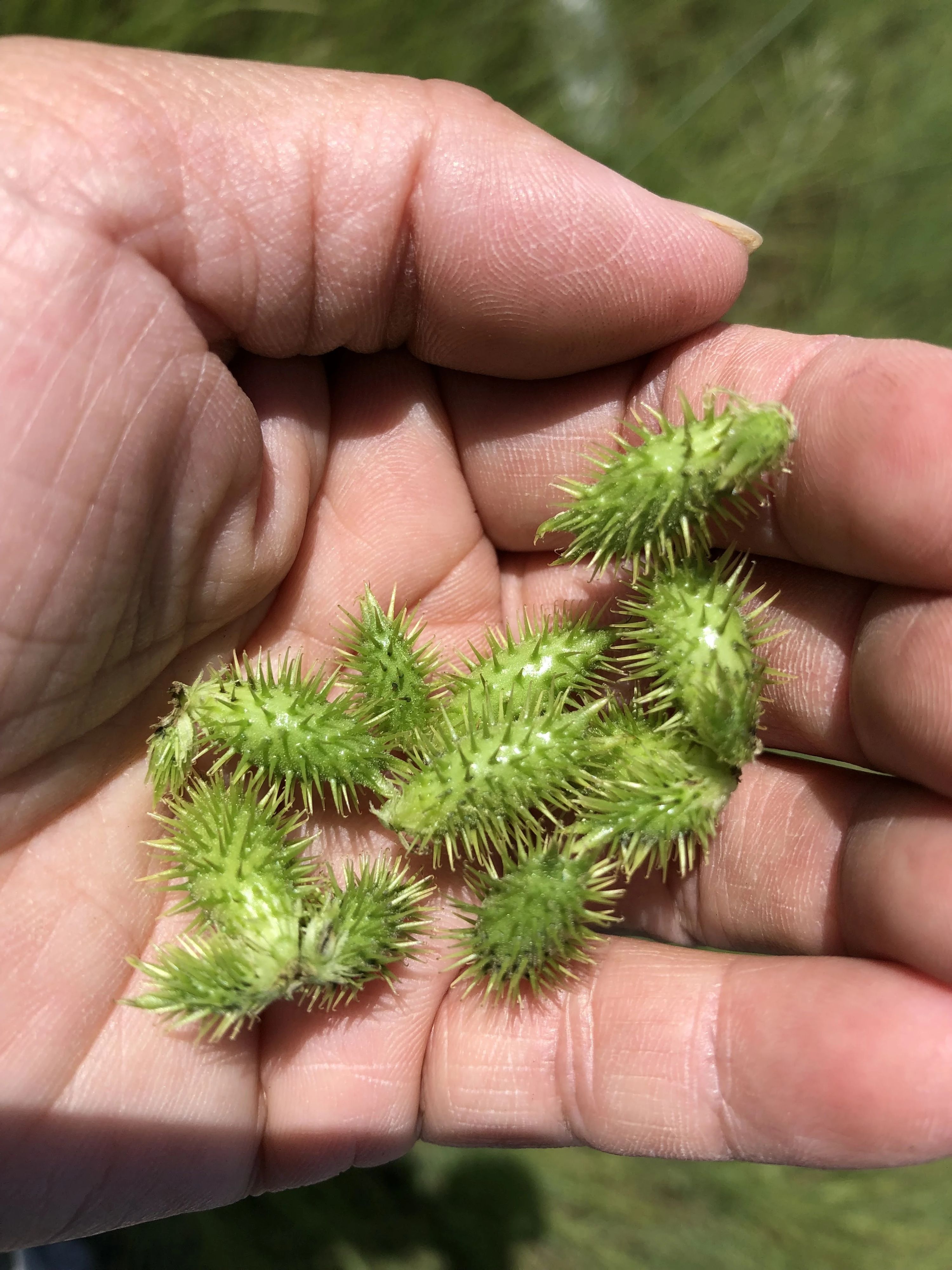 ぴょんぴょん 幼児教室 太田下町教室のサムネイル画像 2