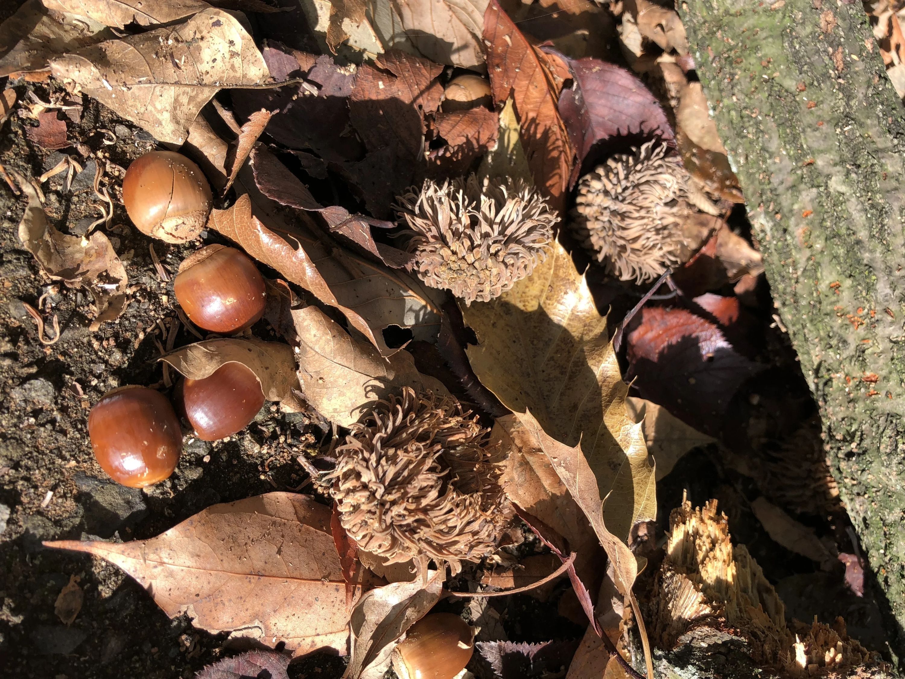 ぴょんぴょん 幼児教室 太田下町教室のサムネイル画像 3