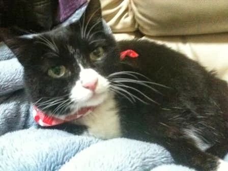 ルナ音楽スクール リトミック 緑教室のメイン画像