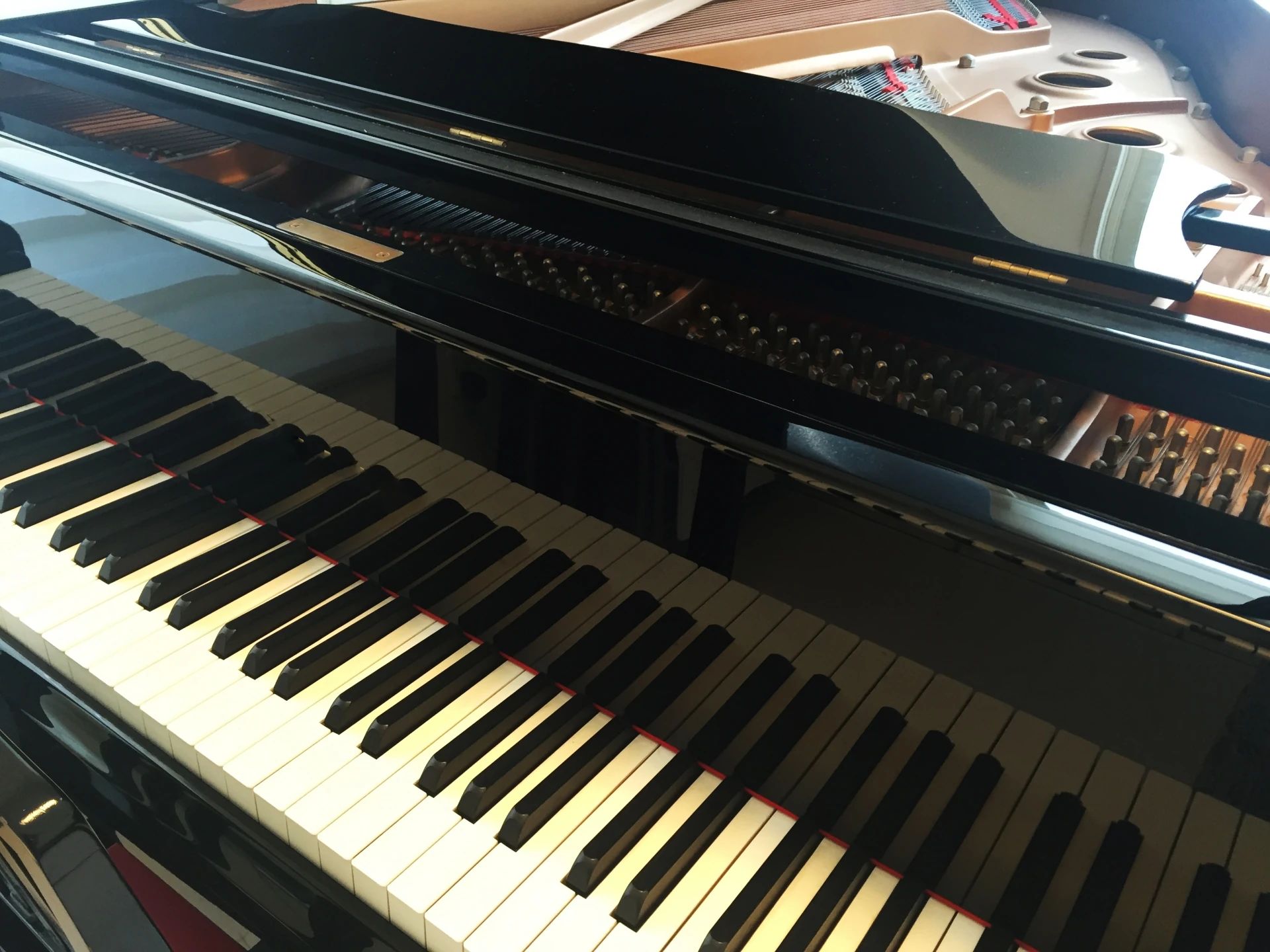 どれみミュージックラブ リトミック 大字駒越字村元教室のサムネイル画像 2