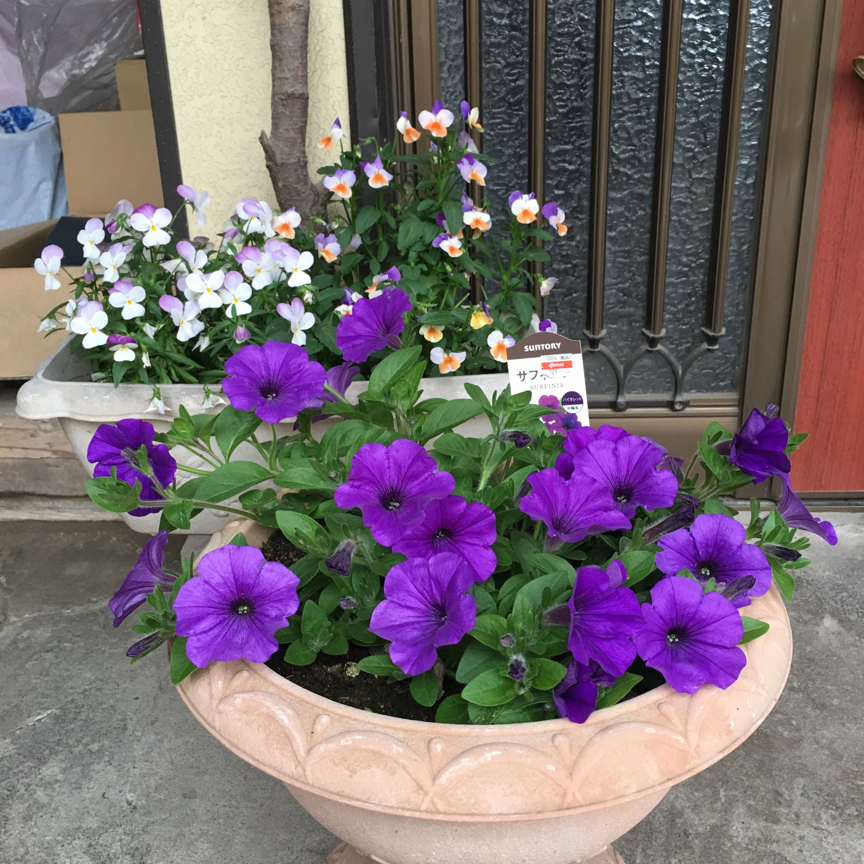 大槻ひとみピアノ教室 リトミック 鹿又字新田町教室のサムネイル画像 4