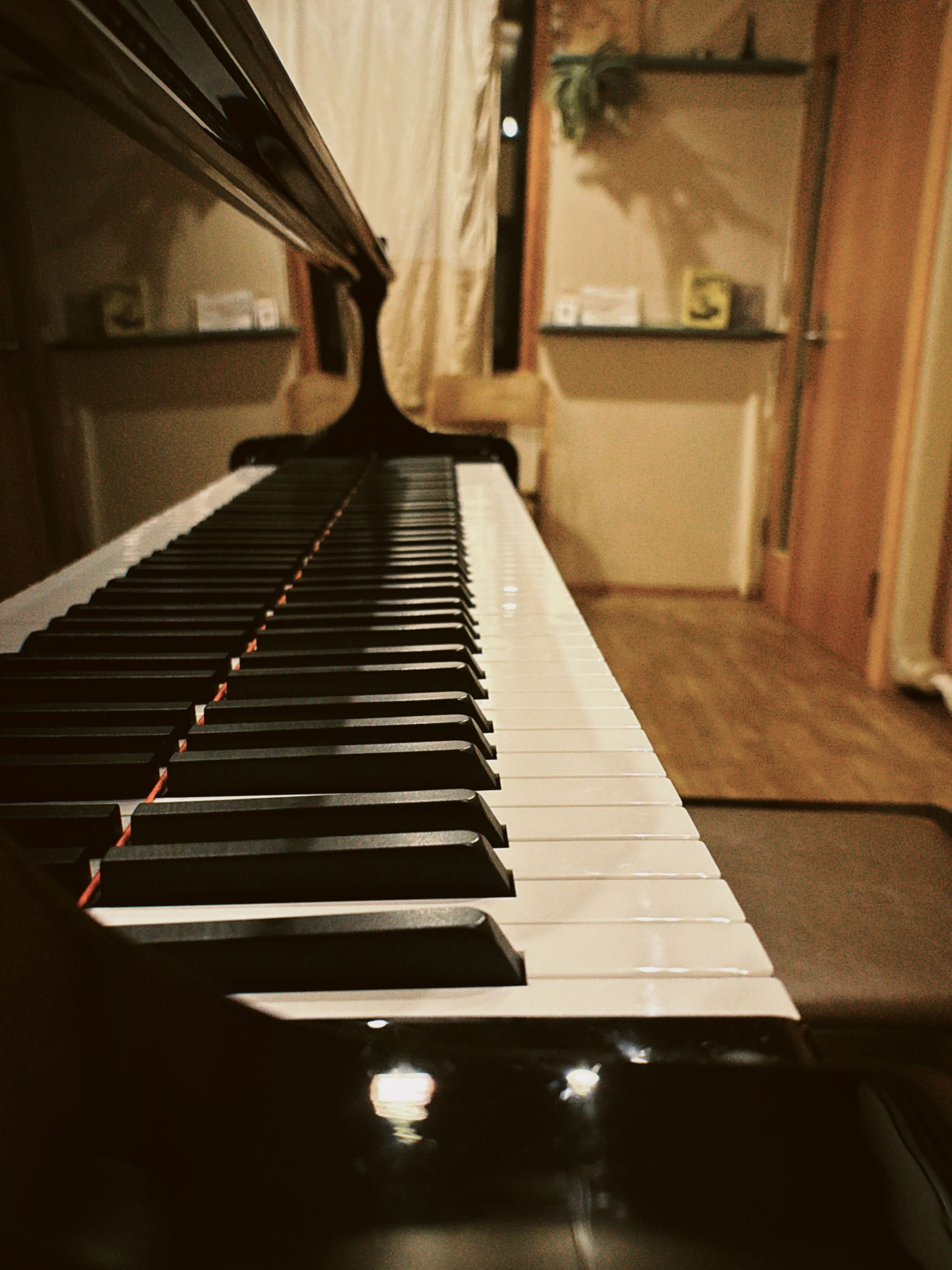 Studio Circus(スタジオサーカス) リトミック 柿の木坂教室のサムネイル画像 4