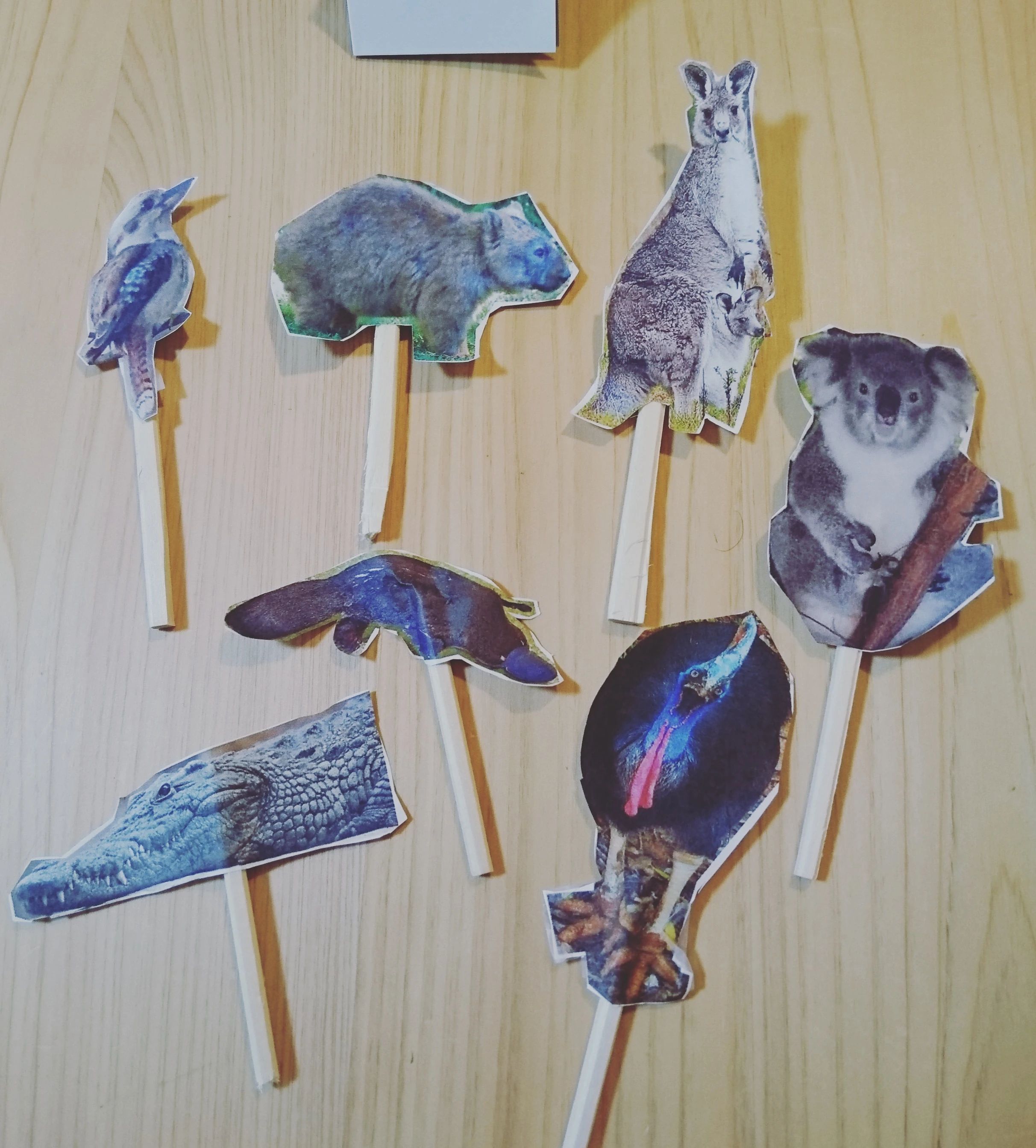 MusicTogether Legato(ミュージックトゥギャザーレガート) リトミック 森下・清澄白河クラスのサムネイル画像 4