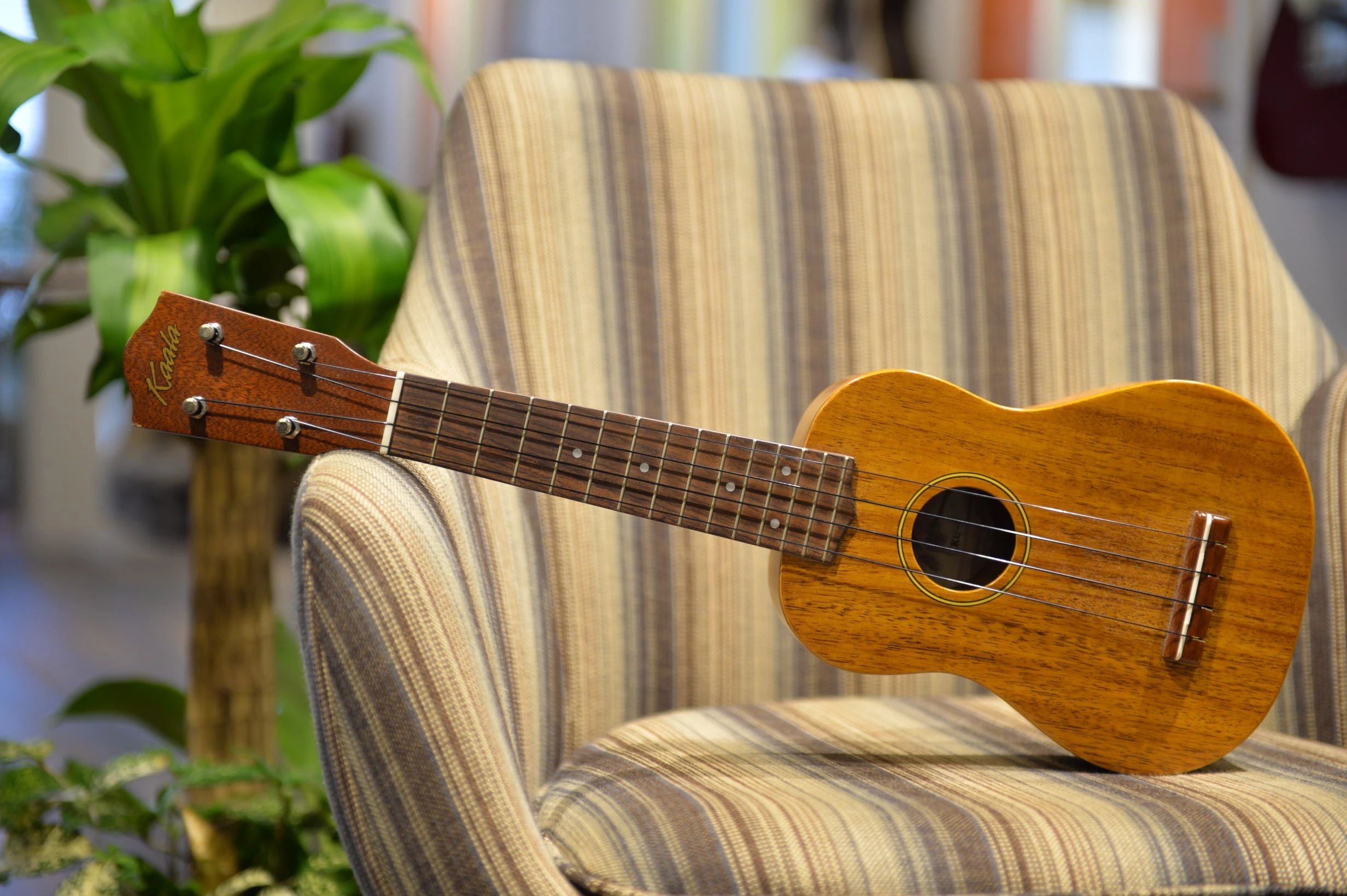 Bee Piano school リトミック 新宿校のサムネイル画像 3