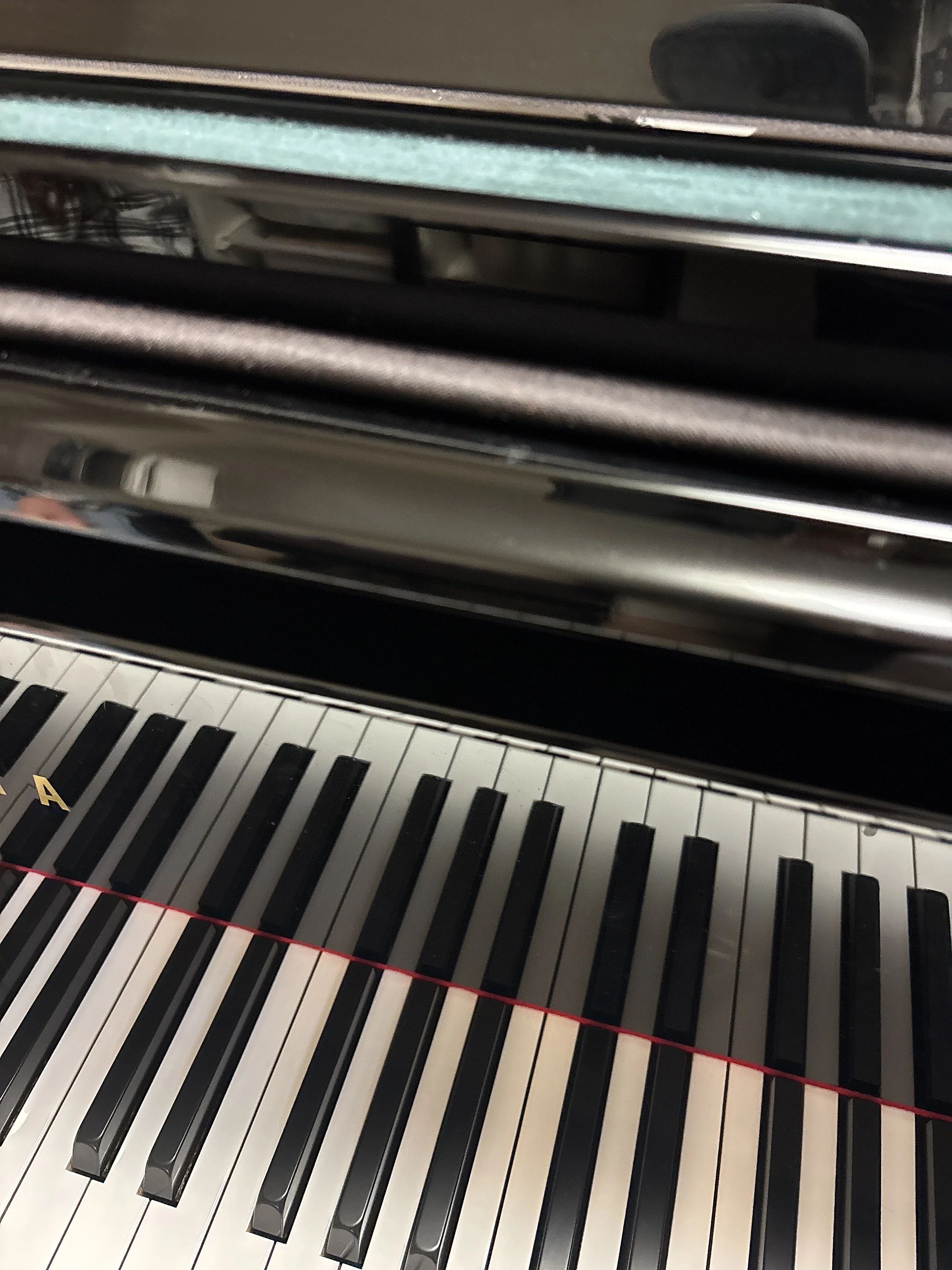 リトミックサークルFunFunFun 経堂教室のメイン画像