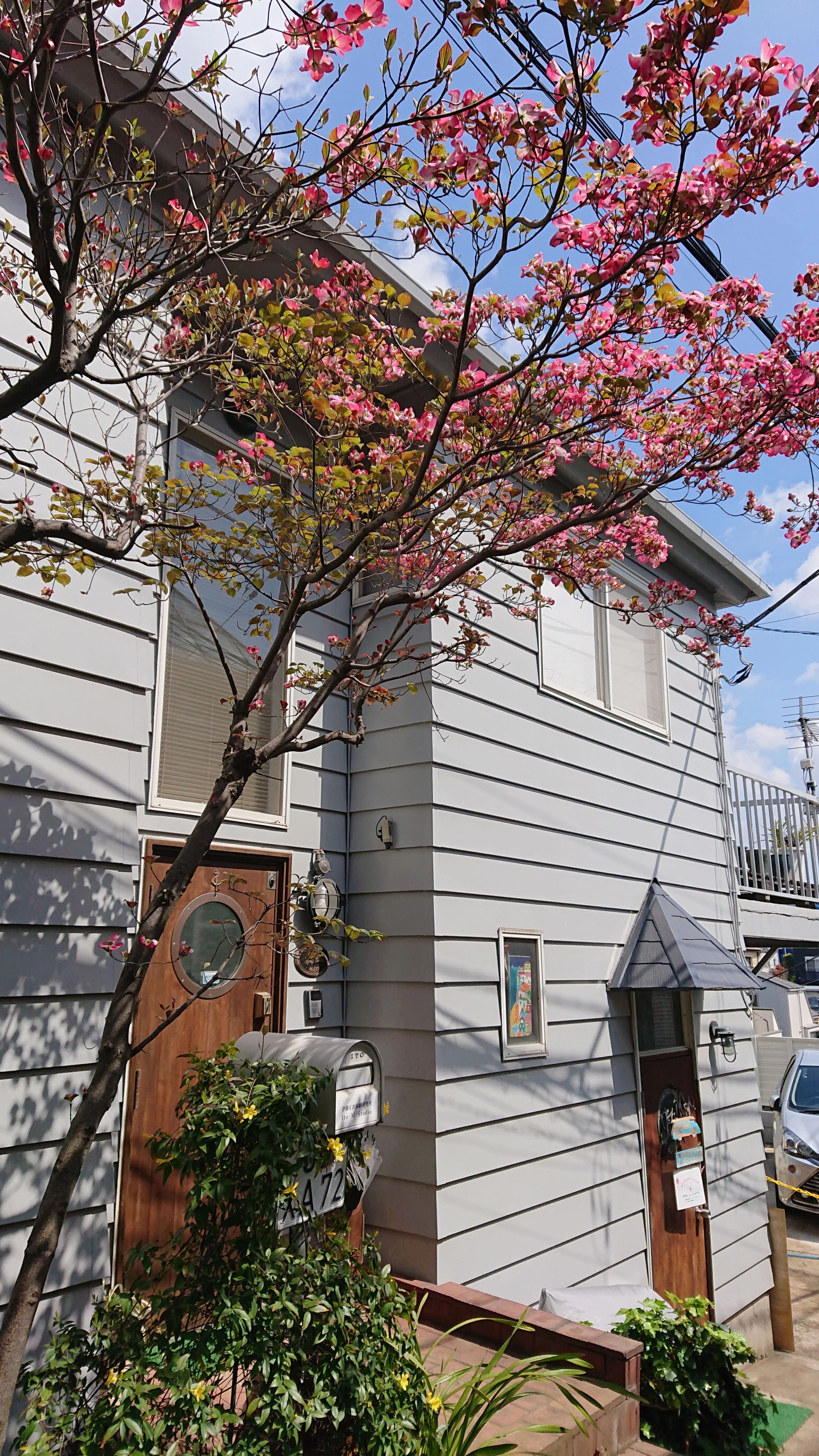 fineリトミック71♪ 西原教室のサムネイル画像 2