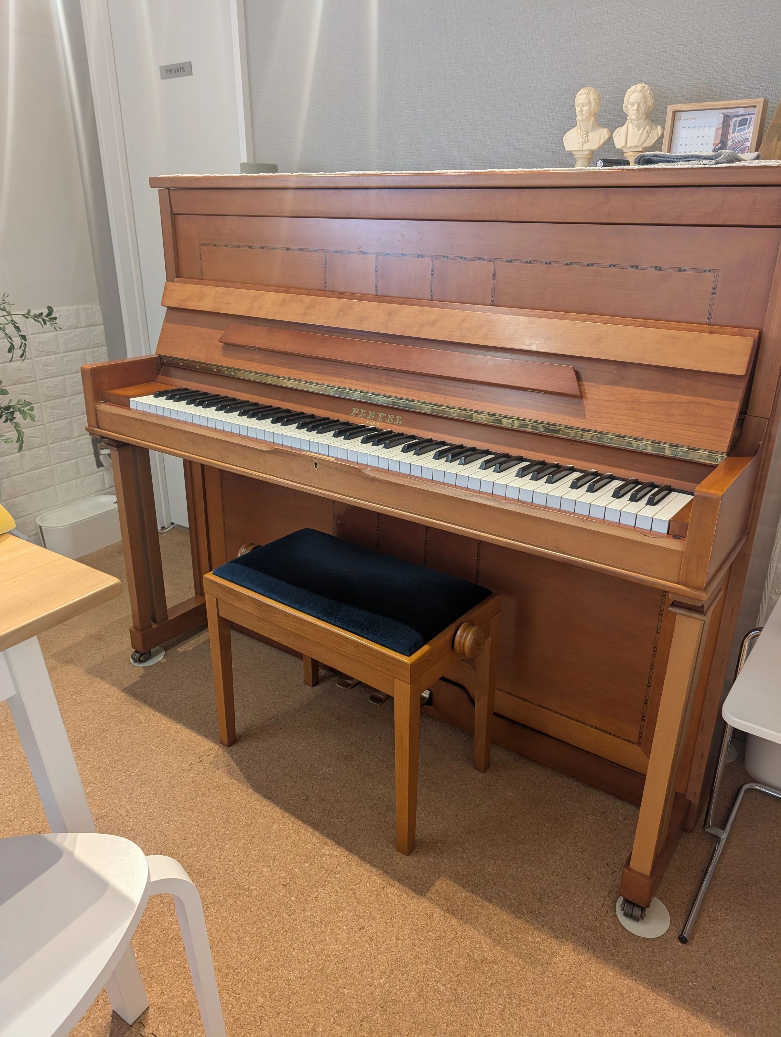 PIANOVA MUSIC リトミック 内神田教室のサムネイル画像 4