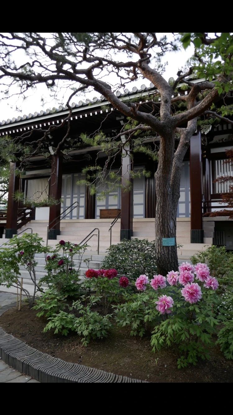 篠山朝子バイオリン教室 リトミック 北新宿教室のサムネイル画像 3