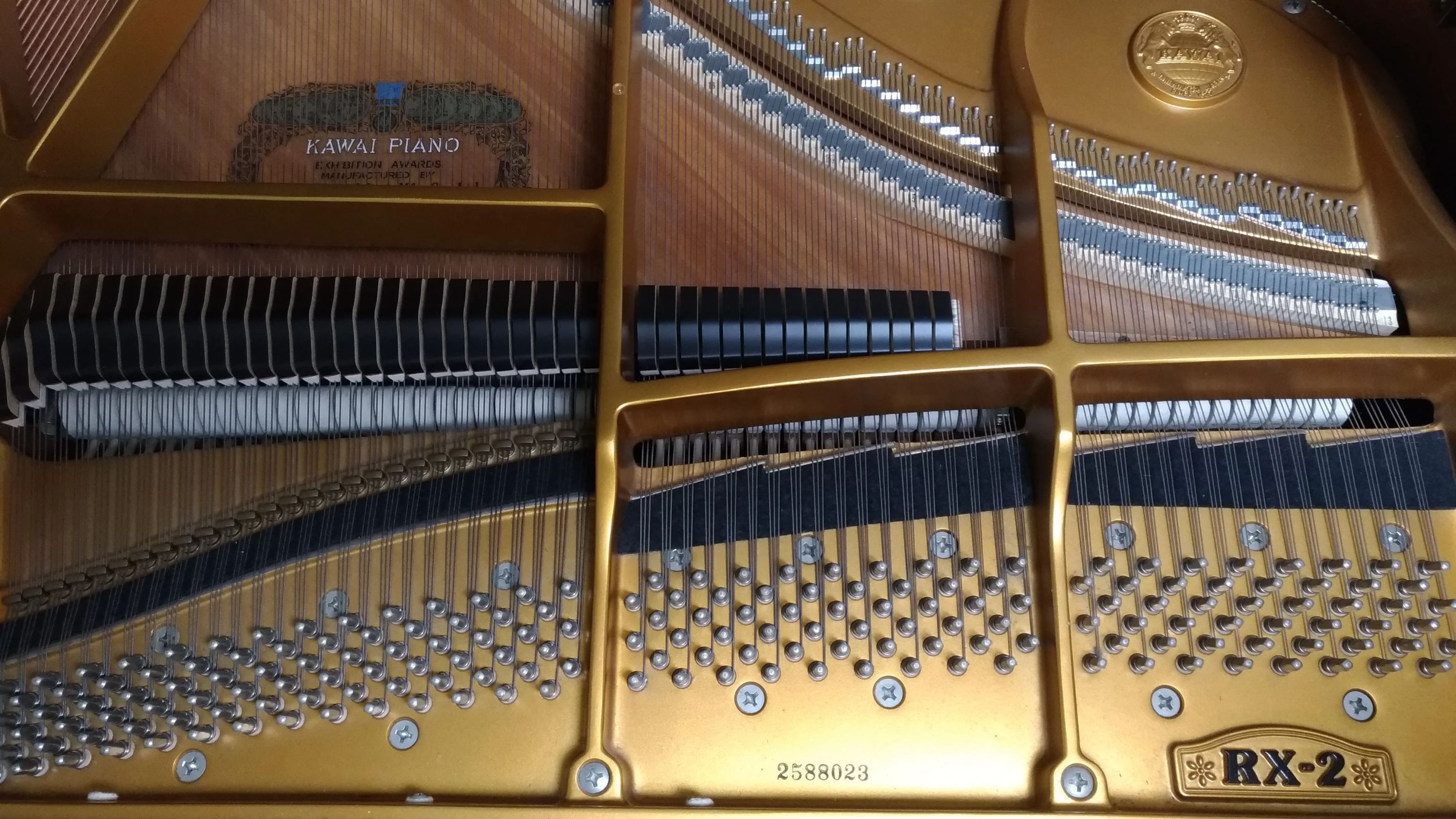 ミュージックアカデミーラファーレ リトミック 北大塚教室のサムネイル画像 3