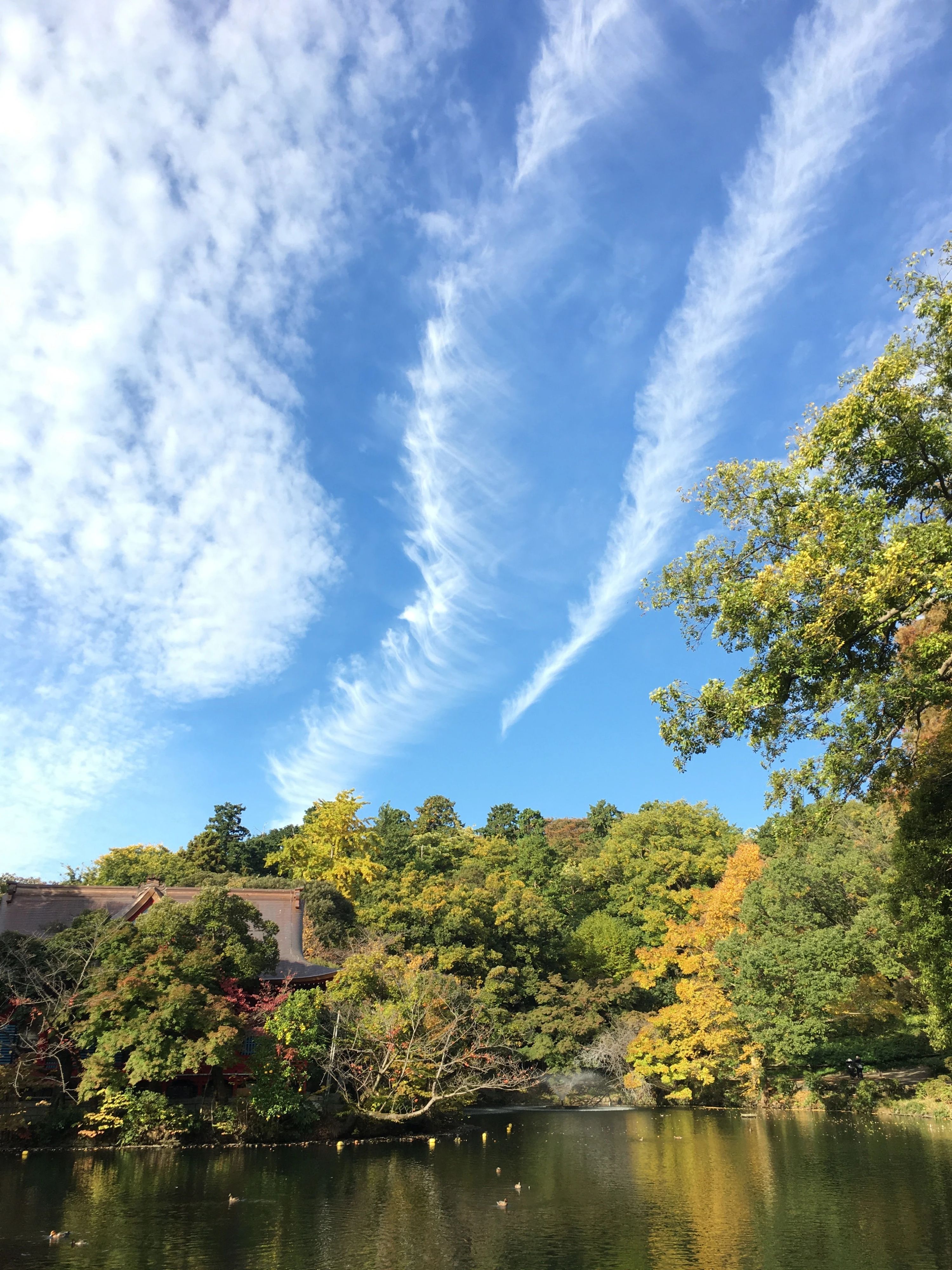 きりとうピアノ教室 リトミック 井の頭教室のメイン画像