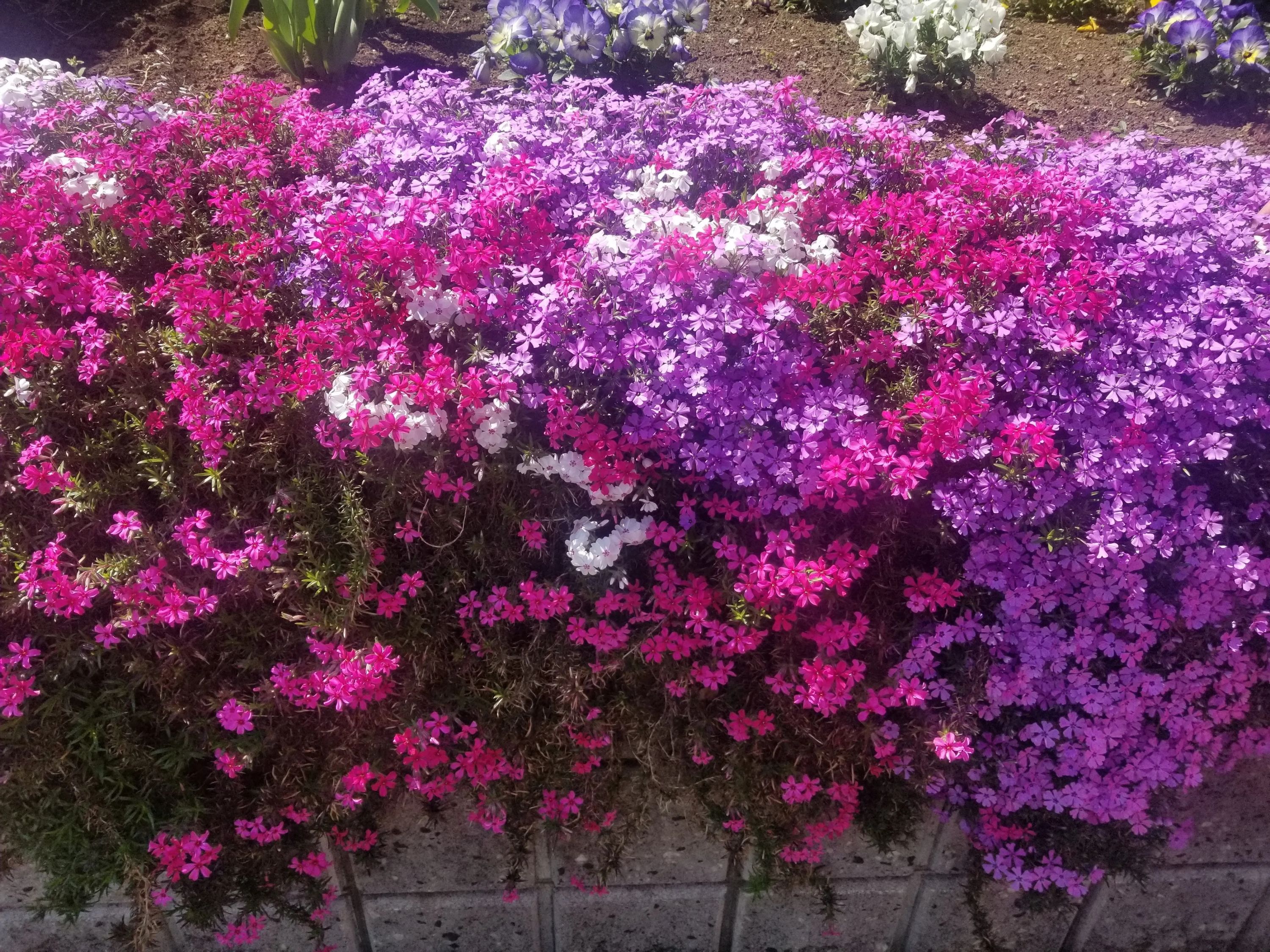 おとのへや リトミック 講師自宅教室のサムネイル画像 2