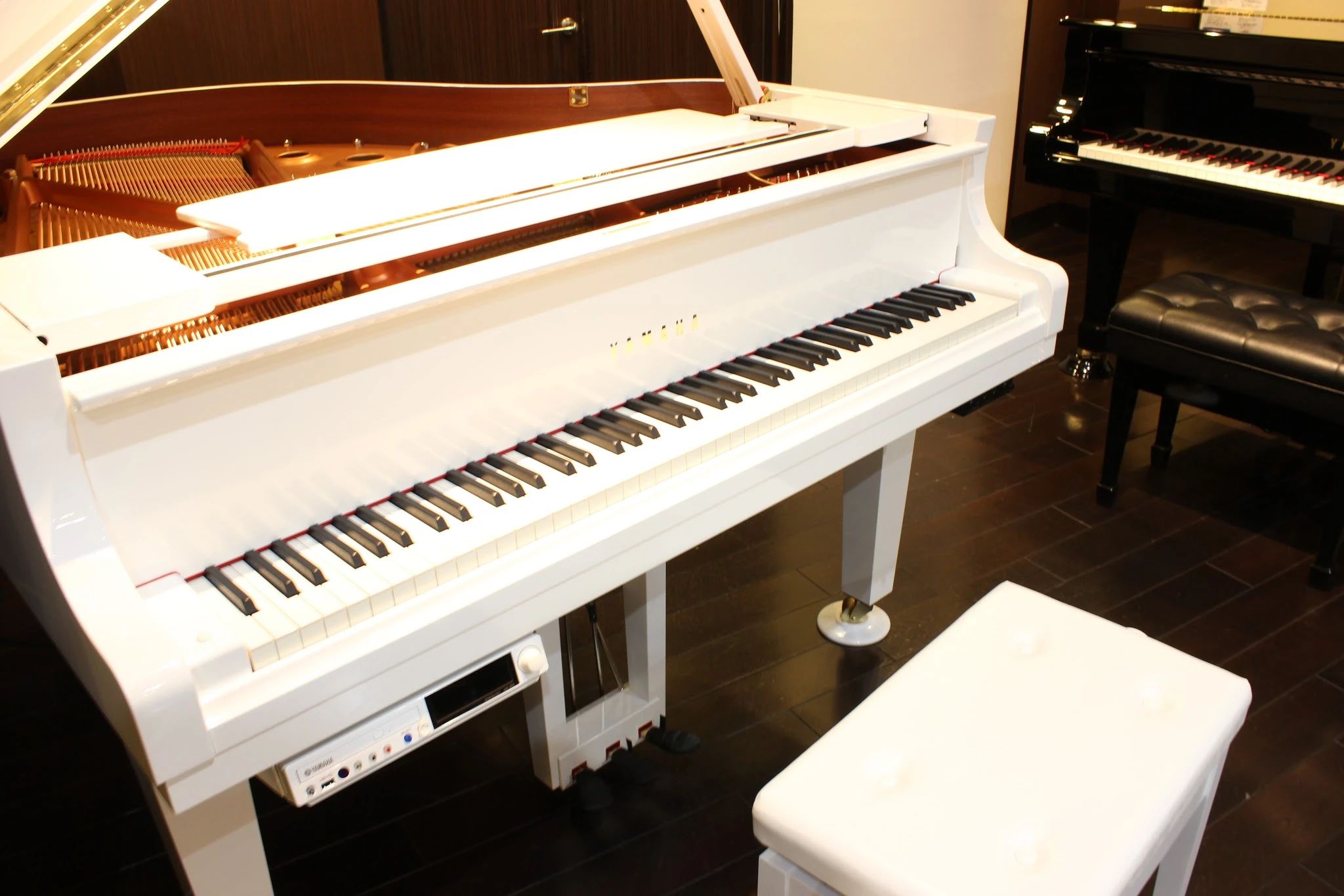 ヤマハ音楽教室 リトミック ミュージックサロン経堂のサムネイル画像 3