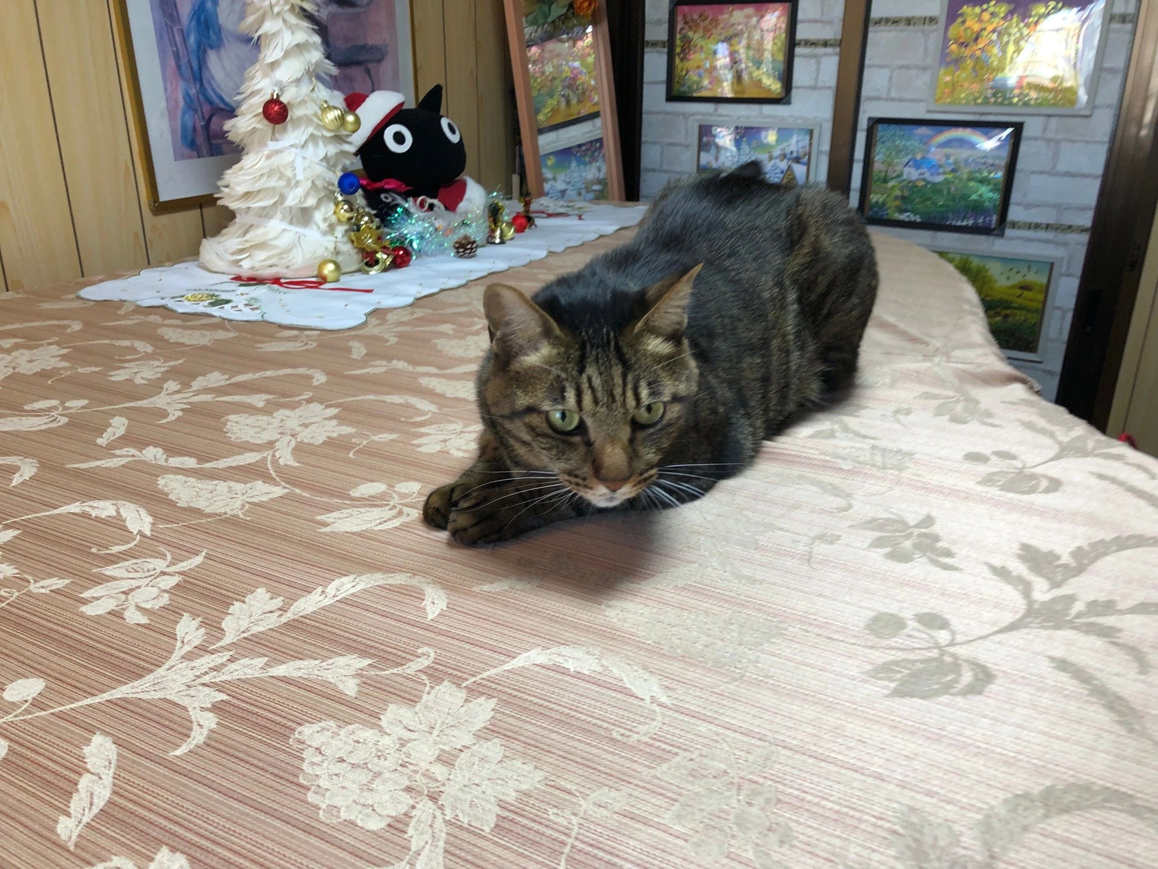 MYMUSICピアノ教室 リトミック 白鷺教室のメイン画像