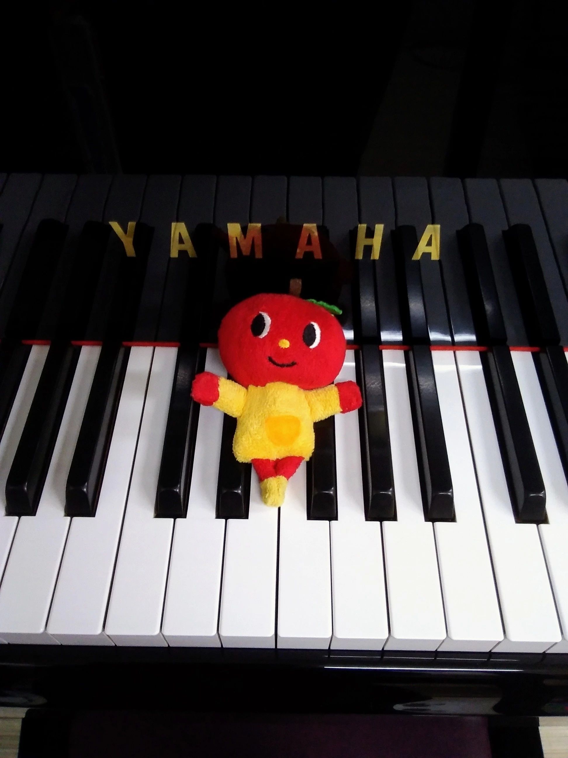 ヤマハ音楽教室 リトミック 三軒茶屋センターのサムネイル画像 3