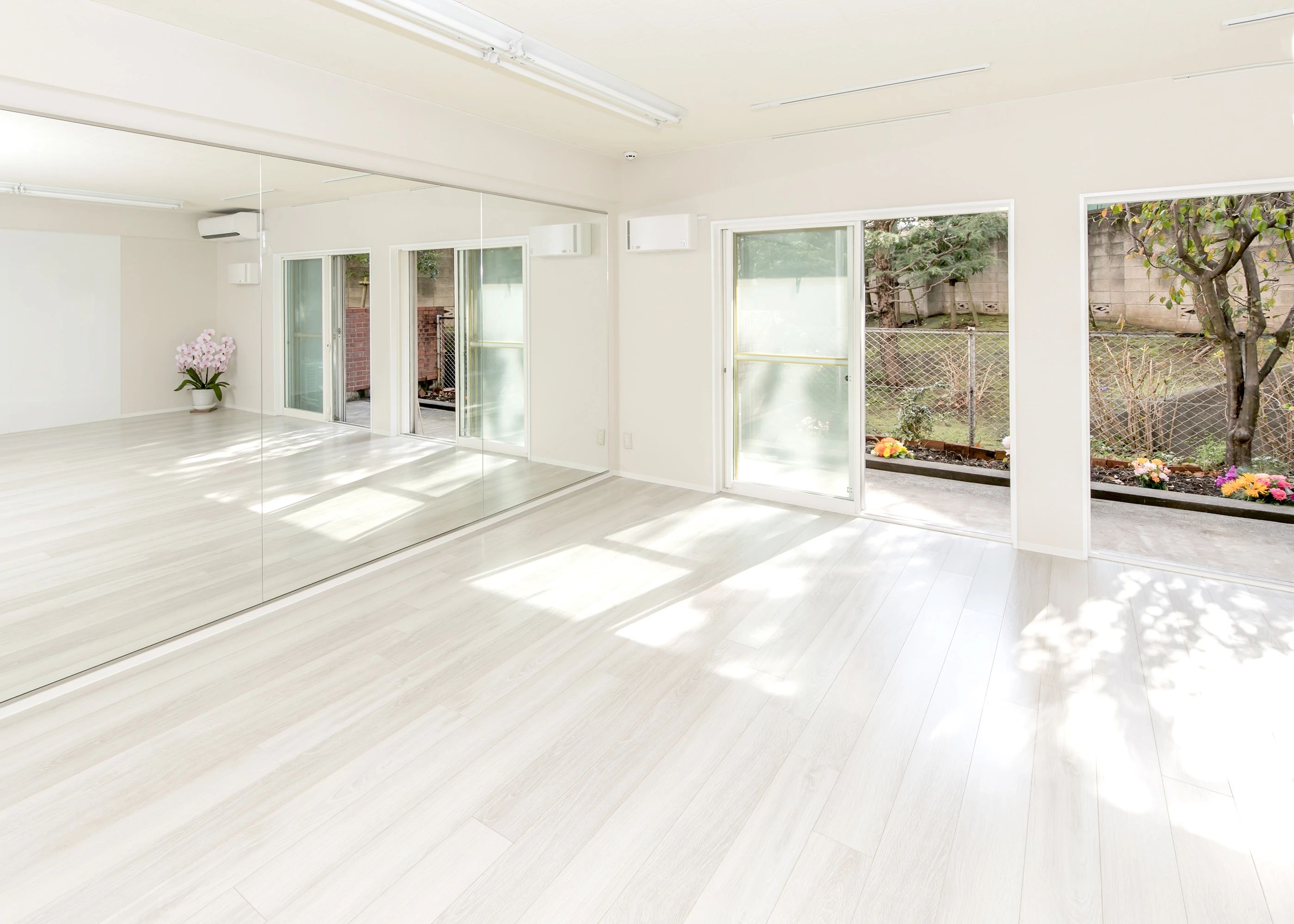 ジャックと音楽の木 リトミック 恵比寿南教室のメイン画像