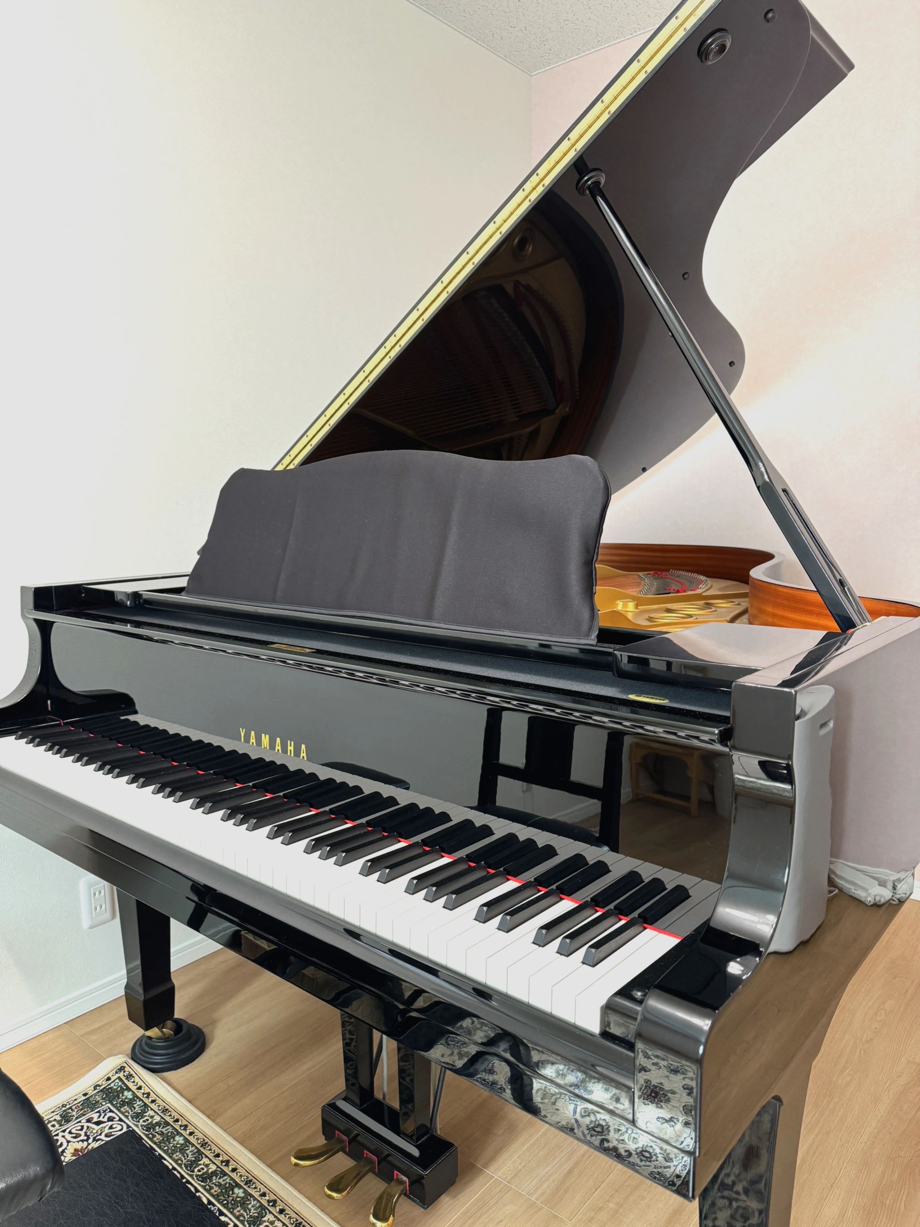 poco a poco リトミック 富士見台教室のサムネイル画像 2