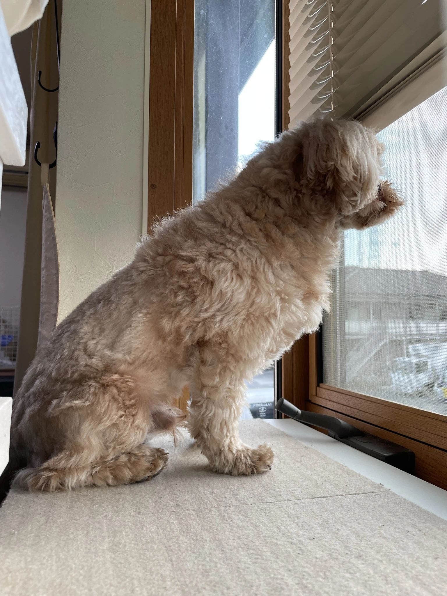 なりしま音楽教室 リトミック 上末吉教室のサムネイル画像 4