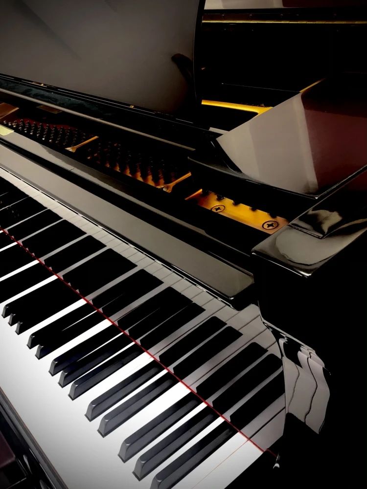 ヤマハ音楽教室 リトミック 能見台センターのメイン画像