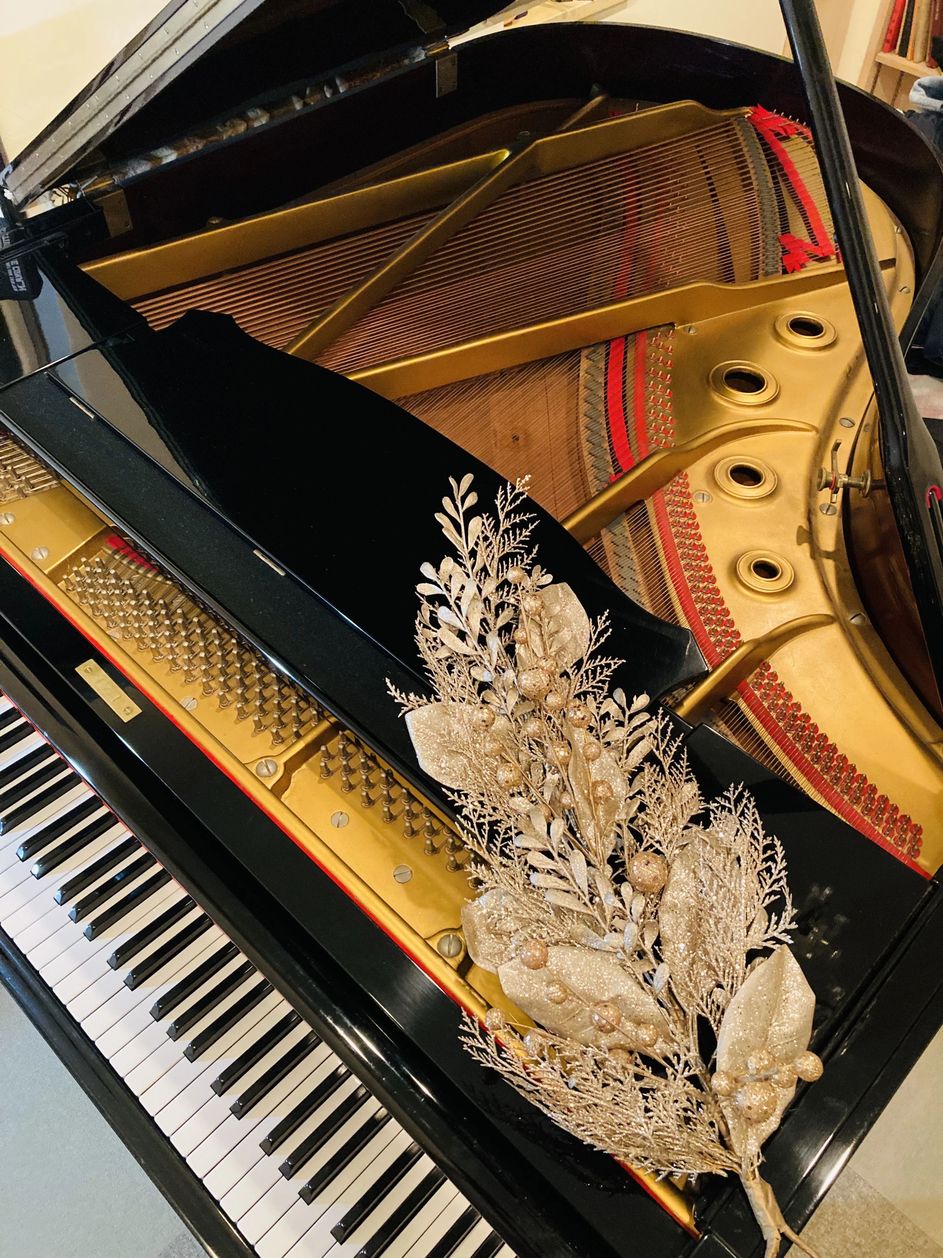 どれみほピアノ教室 リトミック 片瀬山教室のメイン画像