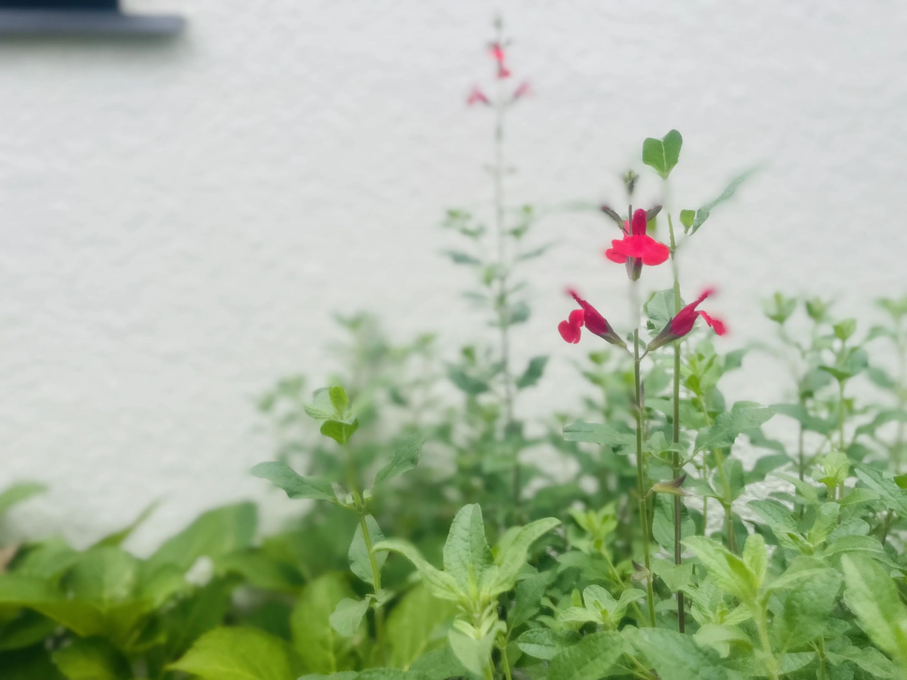 ひらのピアノ･エレクトーン教室 リトミック 梶ヶ谷教室のサムネイル画像 5