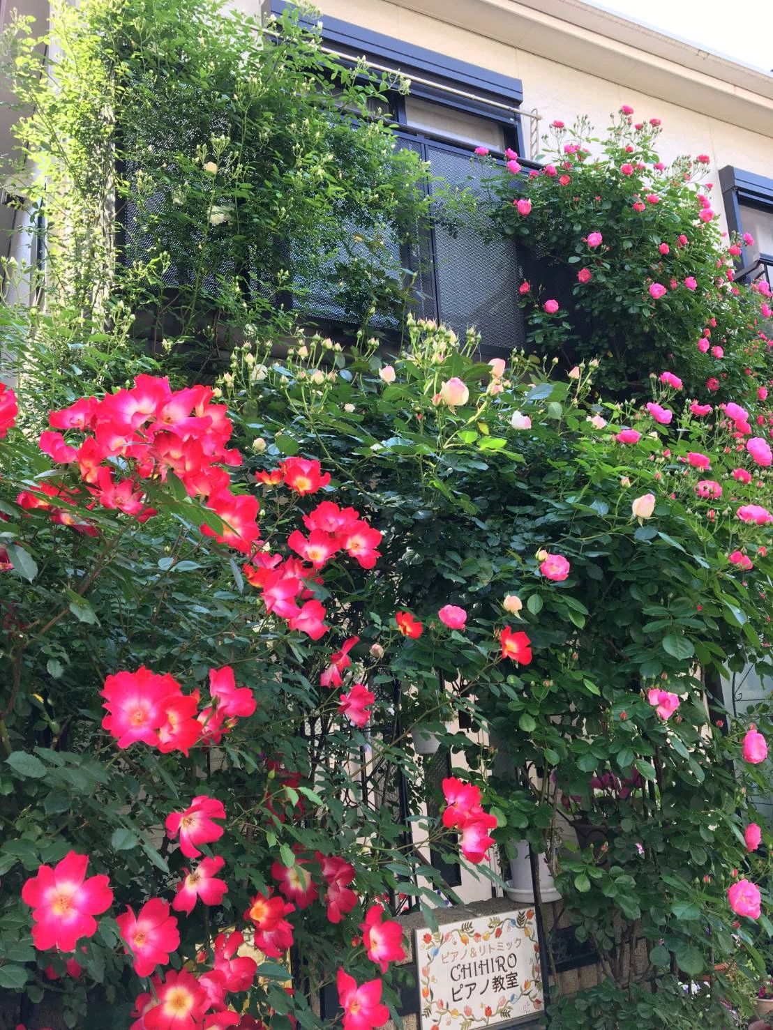 CHIHIROピアノ教室 リトミック 幸町教室のサムネイル画像 2