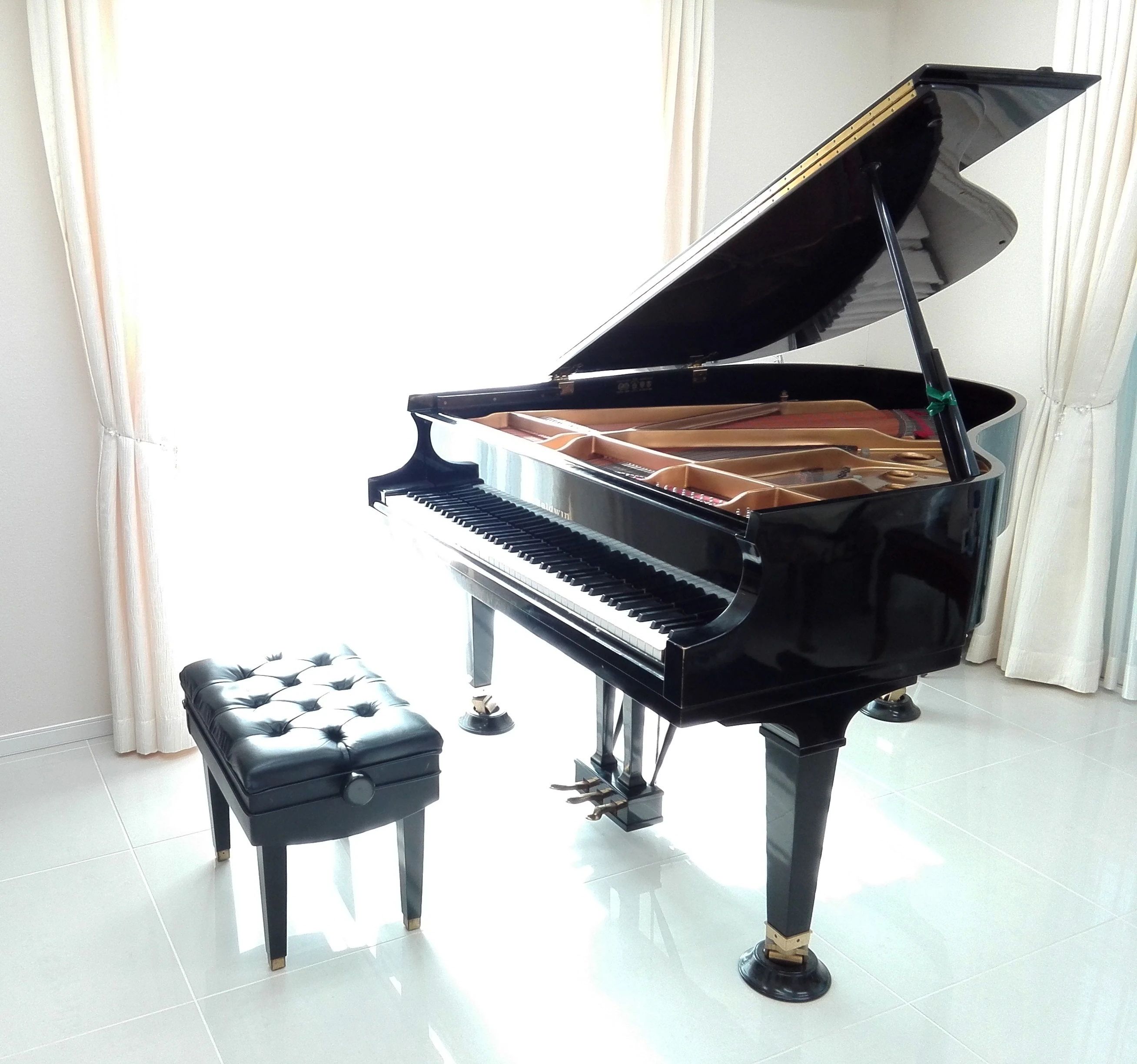 菊池ヴァイオリンピアノ教室 リトミック 白鳥教室のサムネイル画像 2