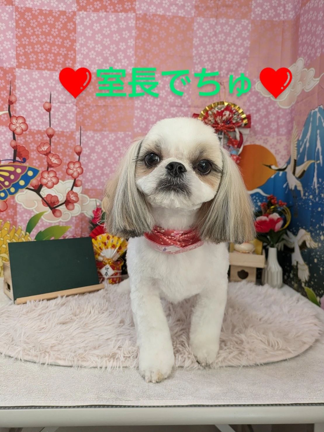 稲山音楽教室 リトミック 久喜鷲宮教室のサムネイル画像 4