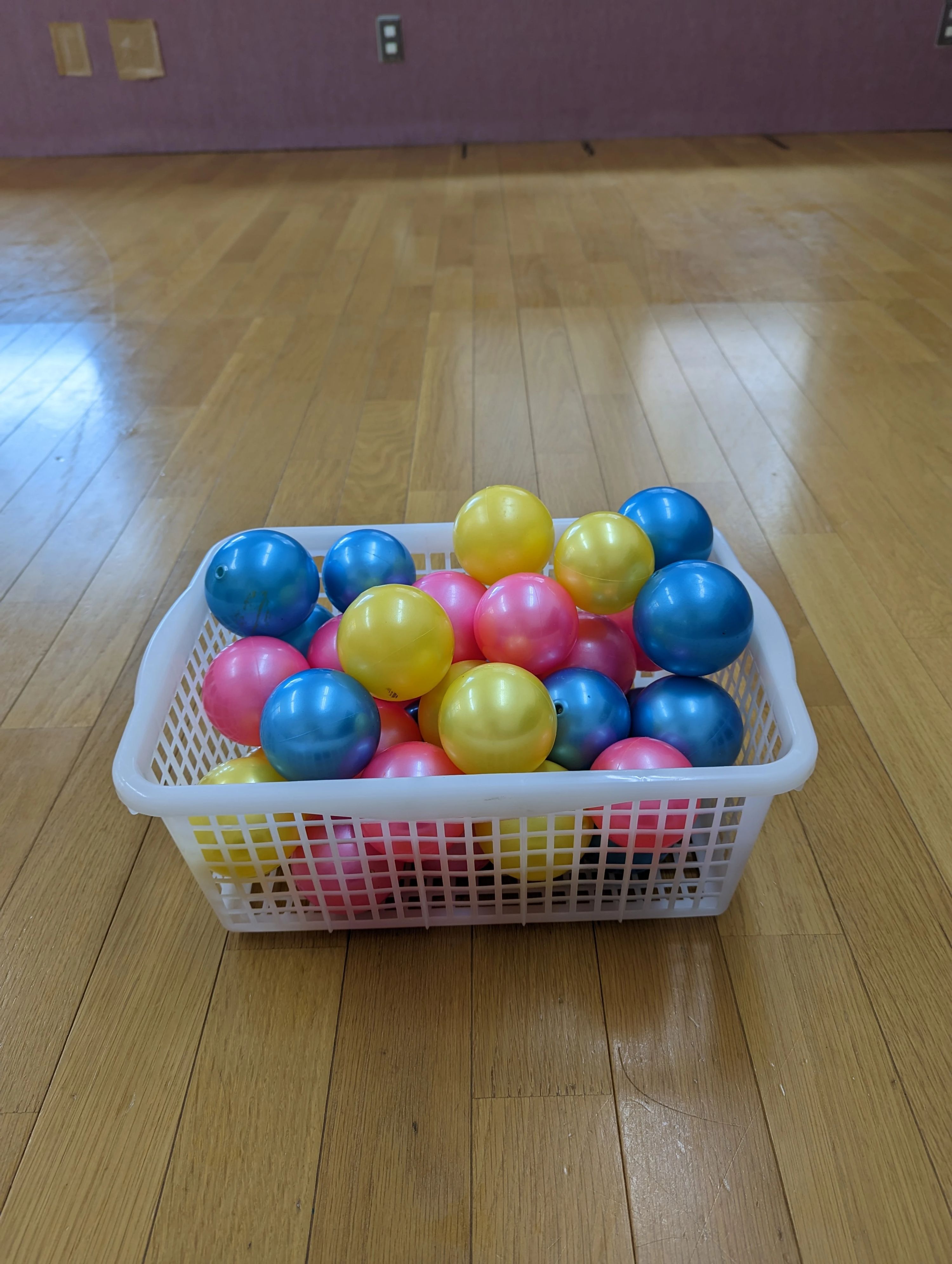 プチ・リトミック教室 東浦和教室のサムネイル画像 2