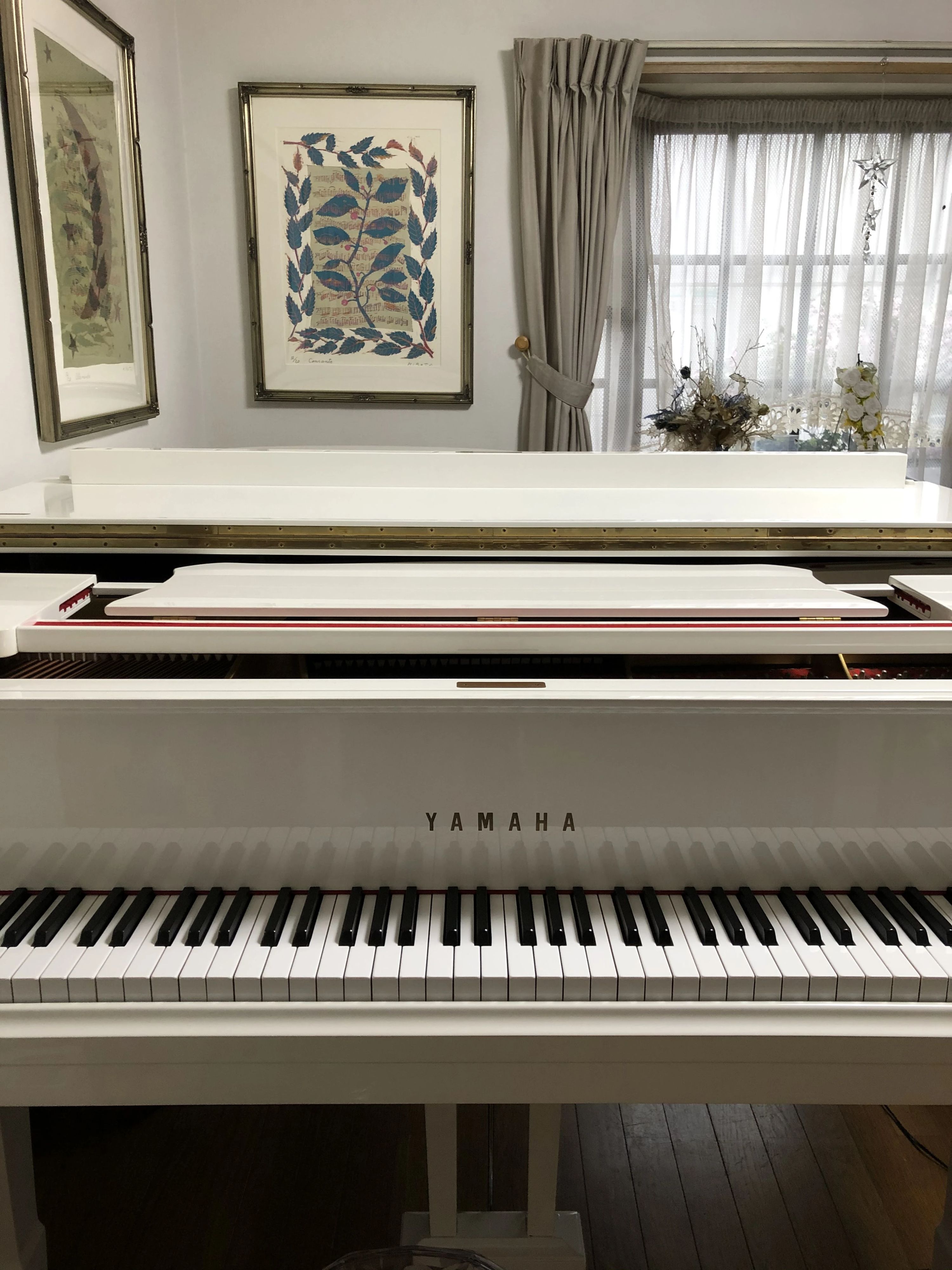 音楽教室tutti(トゥッティ) リトミック 所沢市教室のメイン画像