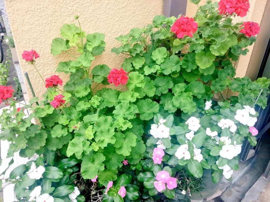 あらかわ音楽教室 七里スタジオ　リトミック教室のサムネイル画像 5