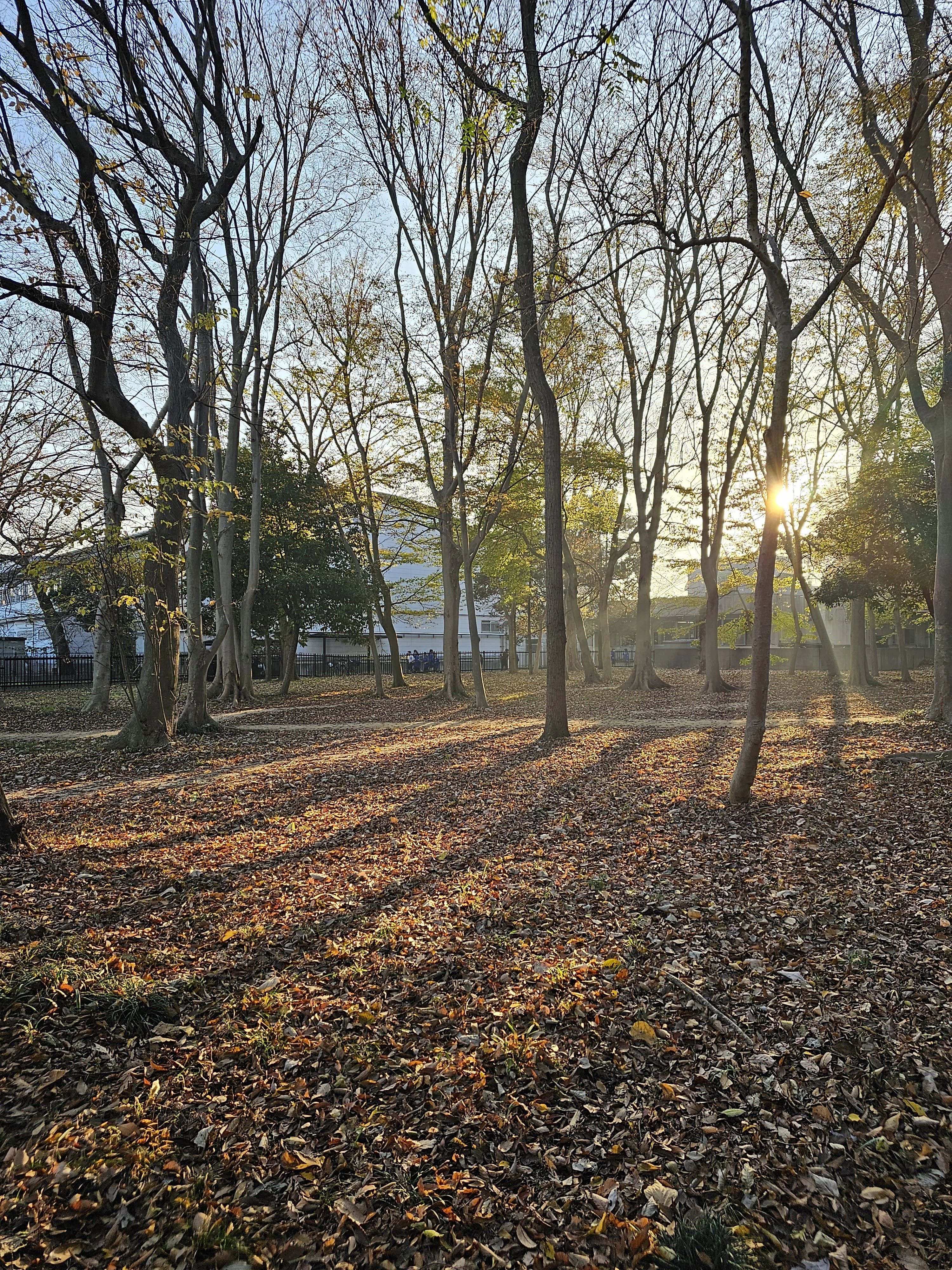りーそ音楽教室 リトミック 流山市教室のメイン画像