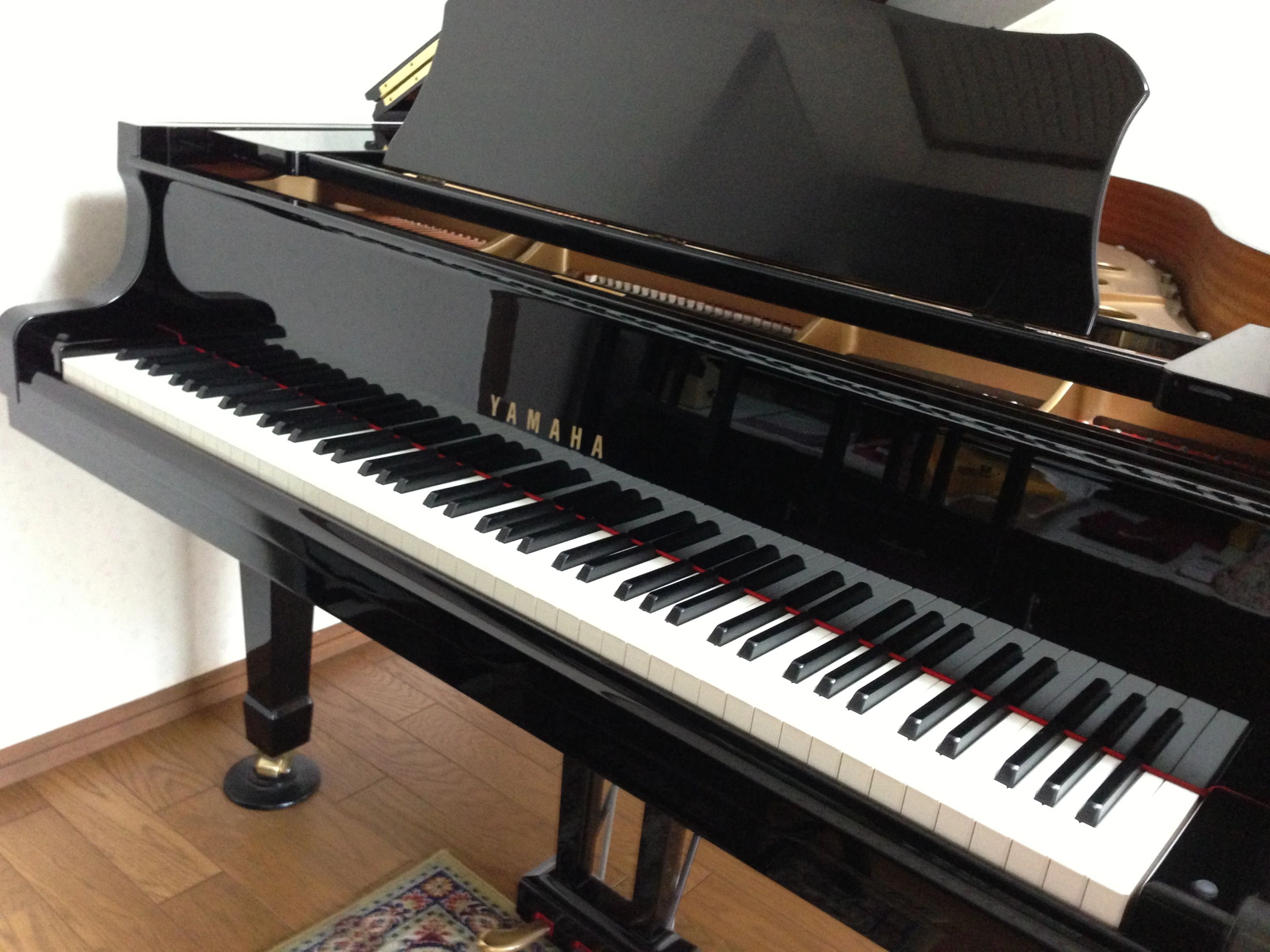 須藤ピアノ教室 リトミック 幕張町教室のサムネイル画像 2