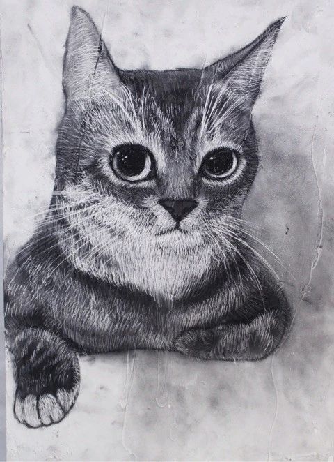 絵画教室ルカノーズ 立川校のサムネイル画像 2