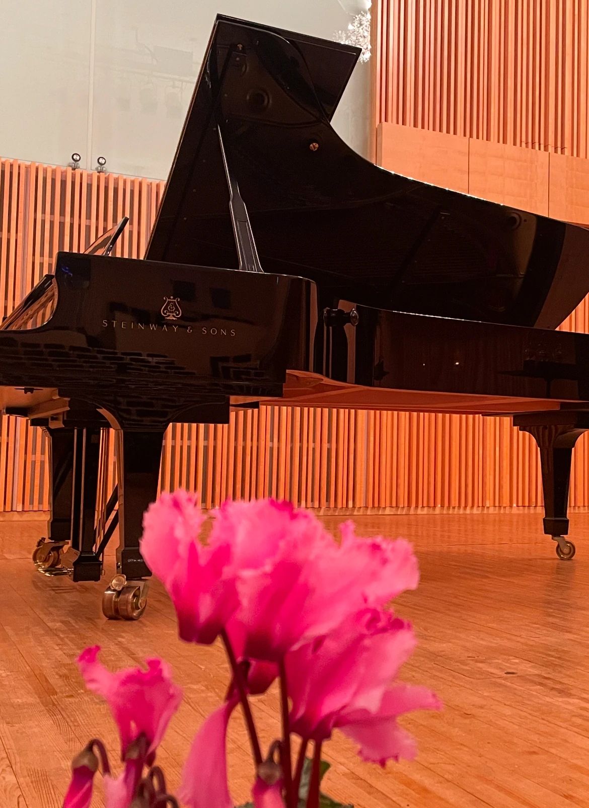 我孫子ピアノ教室コンチェルト リトミック 白山教室のサムネイル画像 2