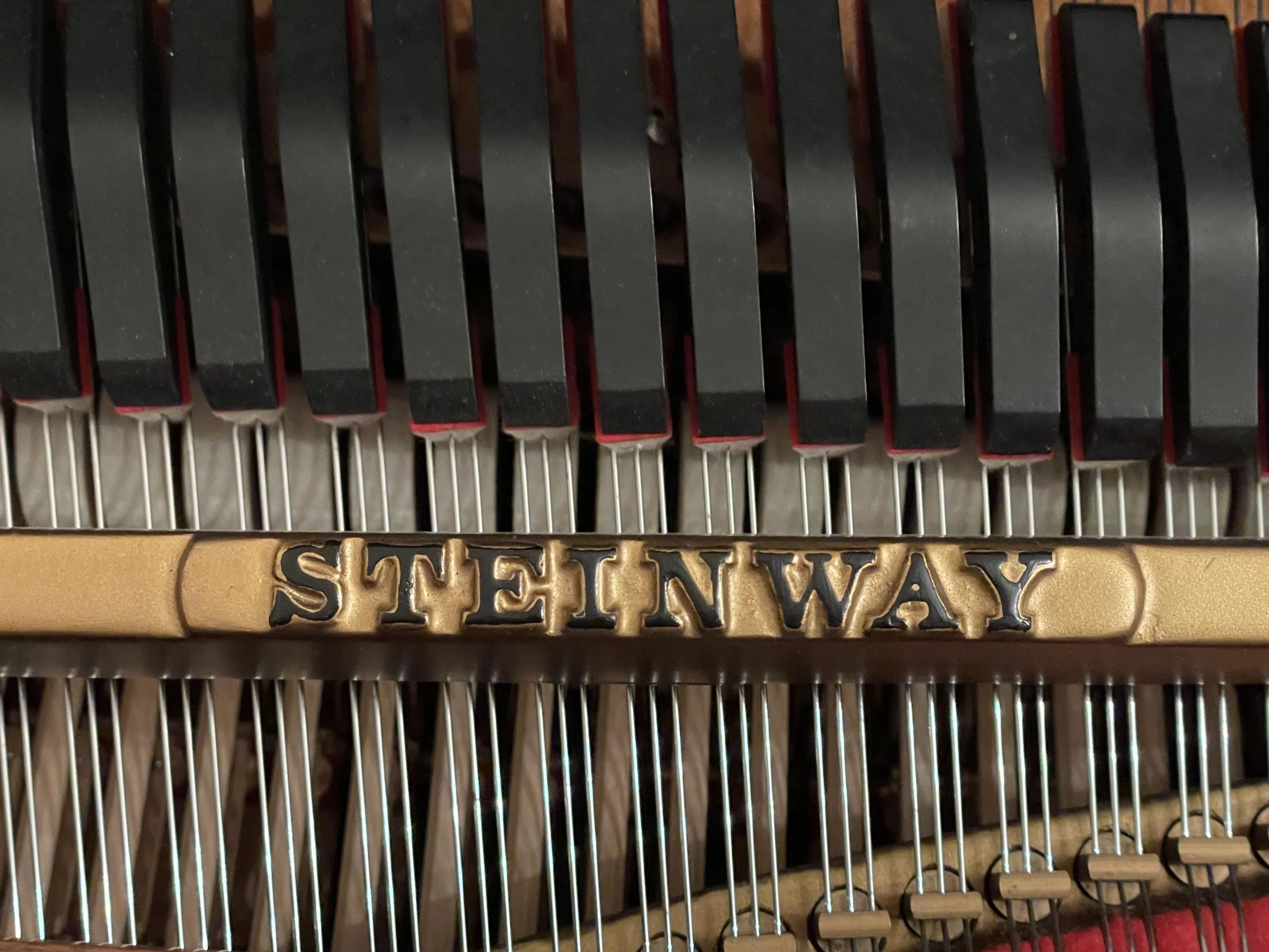 我孫子ピアノ教室コンチェルト リトミック 白山教室のサムネイル画像 4